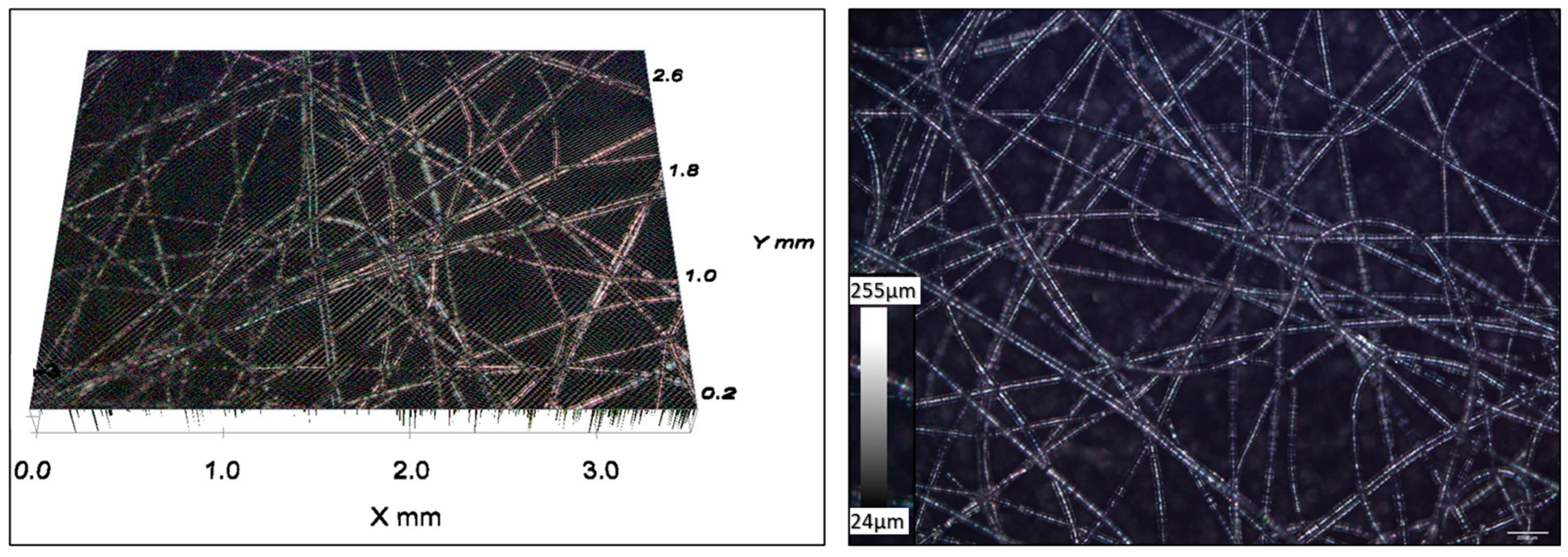Polymers 16 00135 g006 Polymers 16 00135 g006