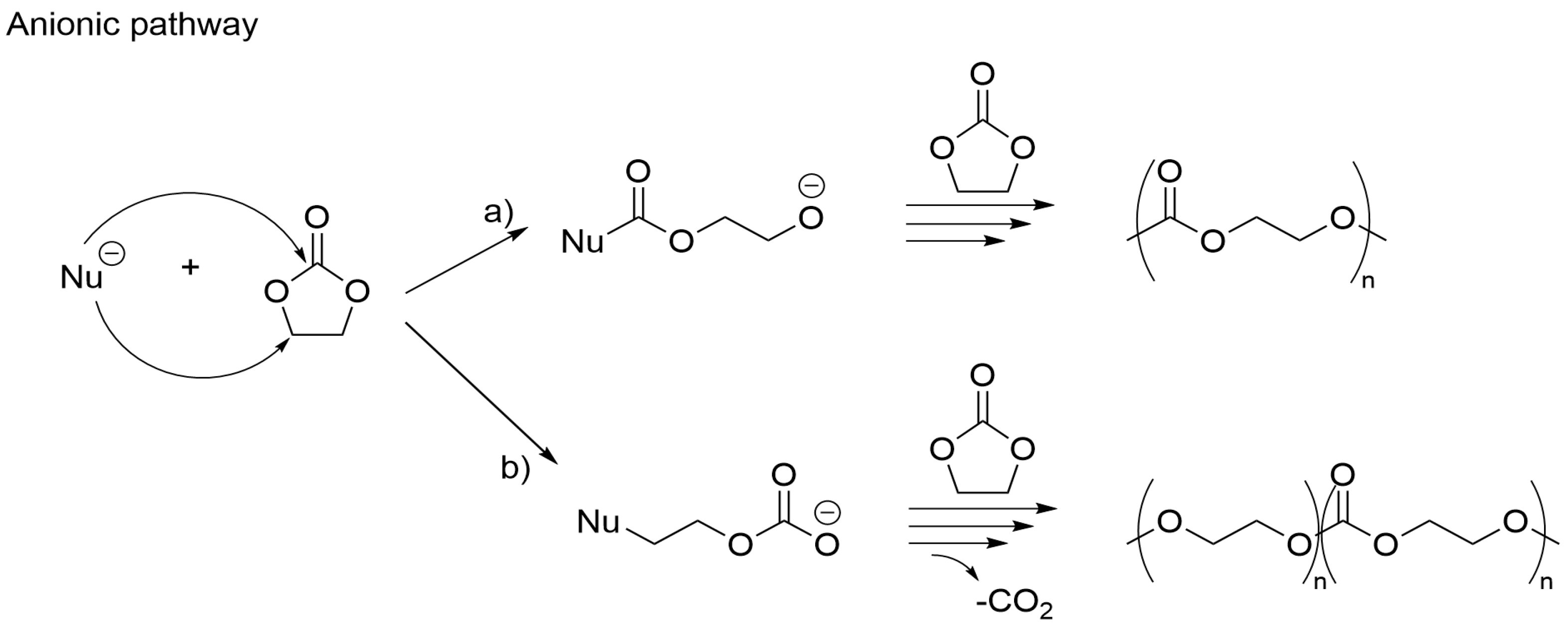 Polymers 16 00136 sch002