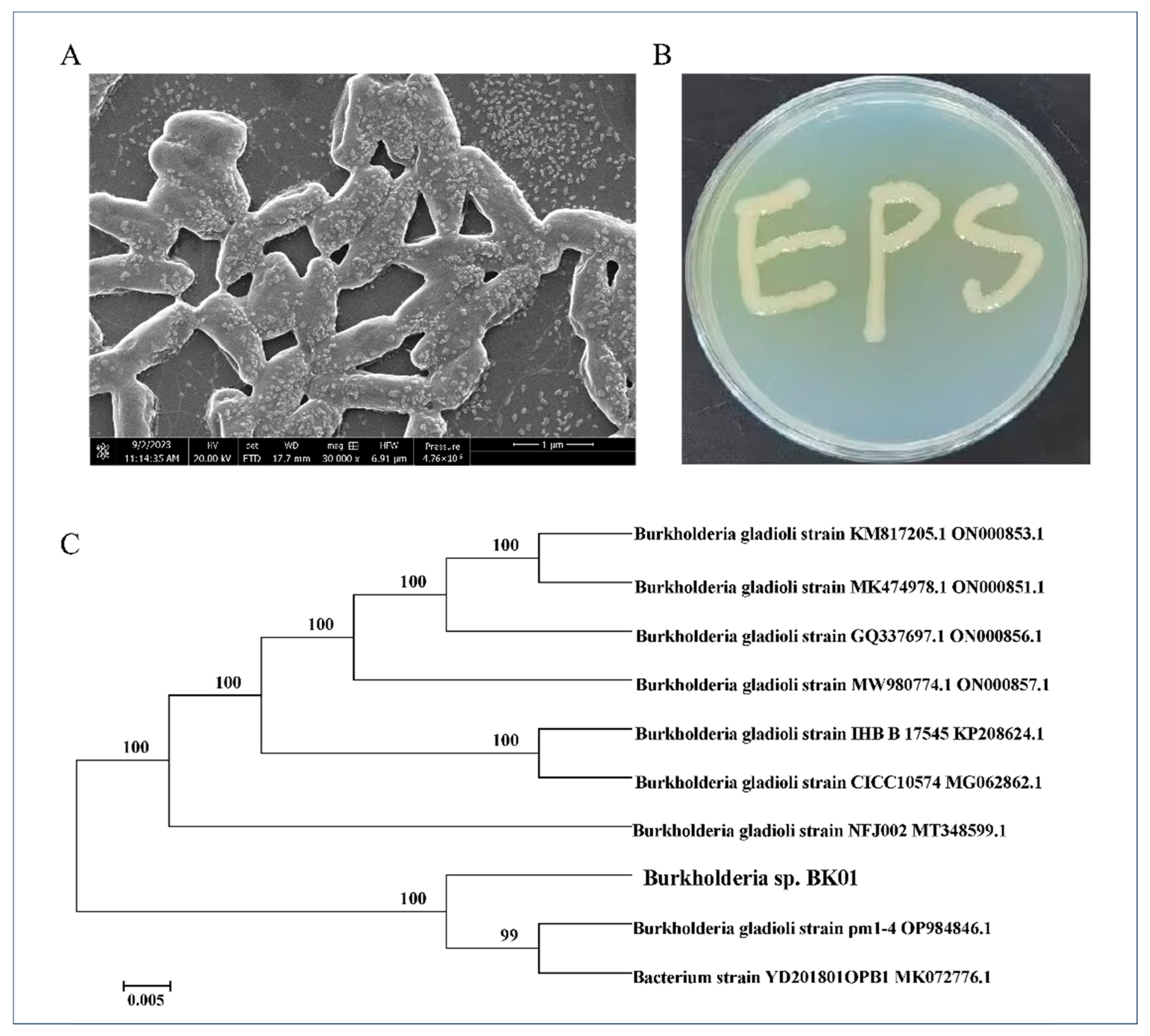 Polymers 16 00145 g001