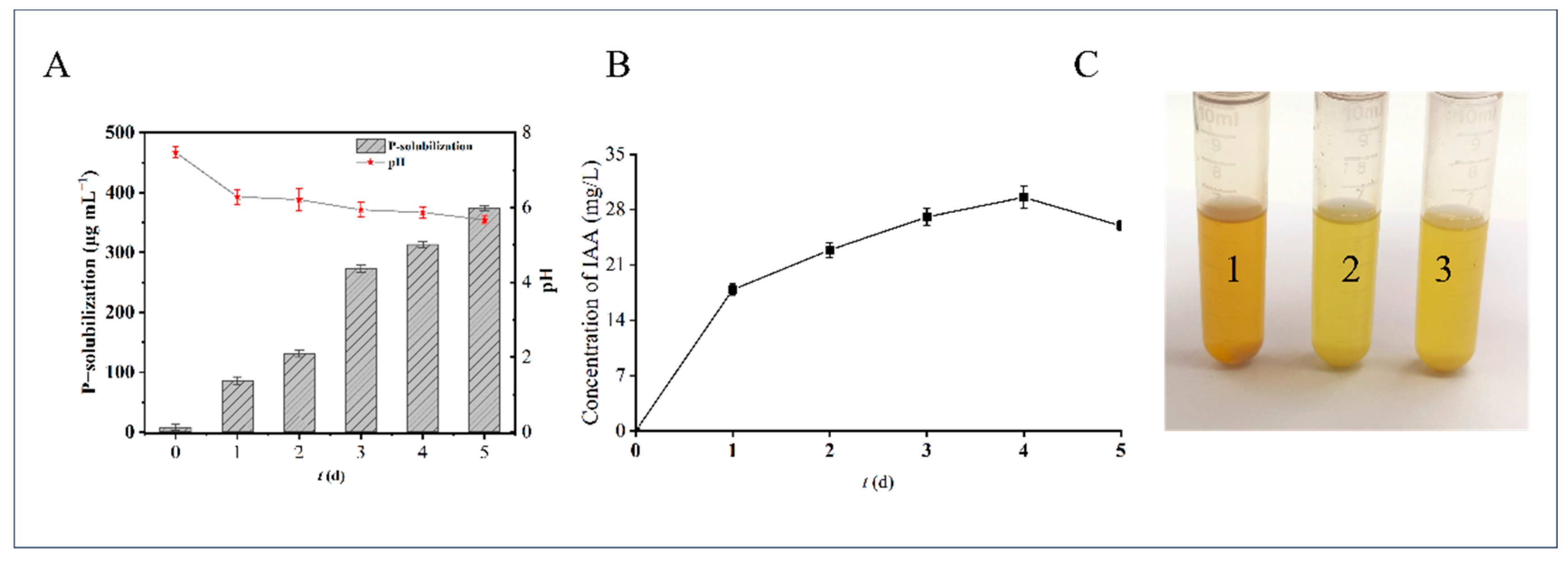 Polymers 16 00145 g002