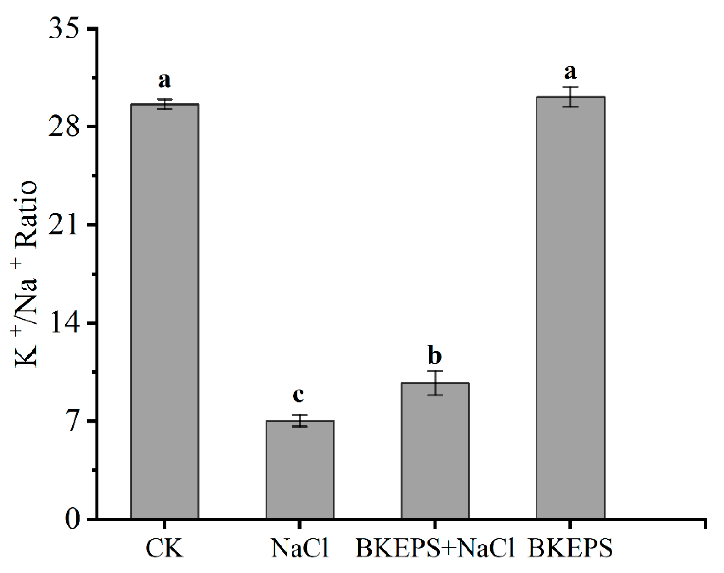 Polymers 16 00145 g005