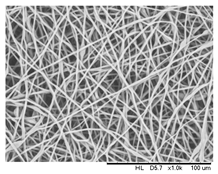 Polymers 16 00154 i001