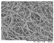 Polymers 16 00154 i002