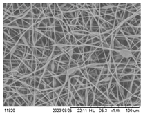 Polymers 16 00154 i004