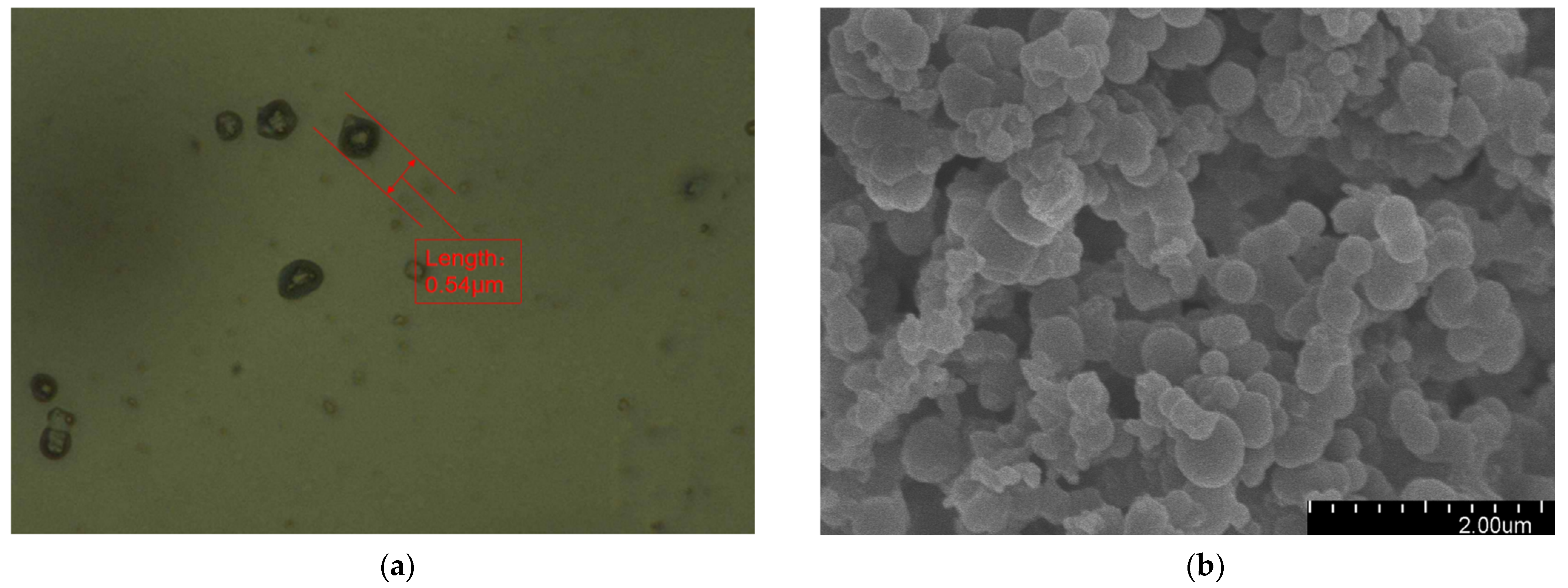 Polymers 16 00155 g002a