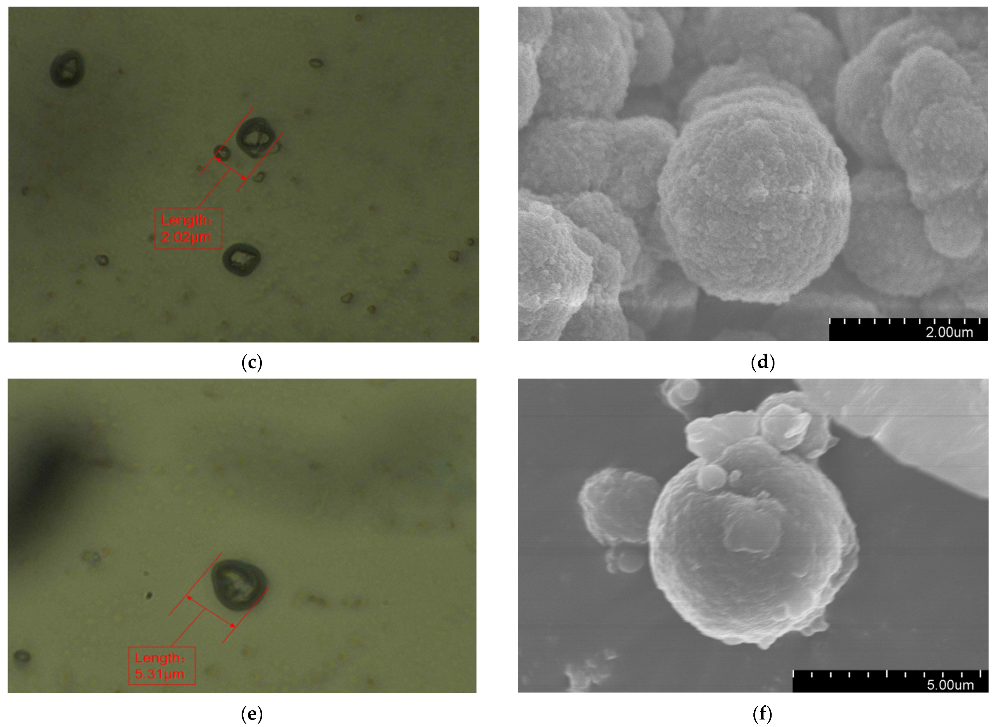 Polymers 16 00155 g002b