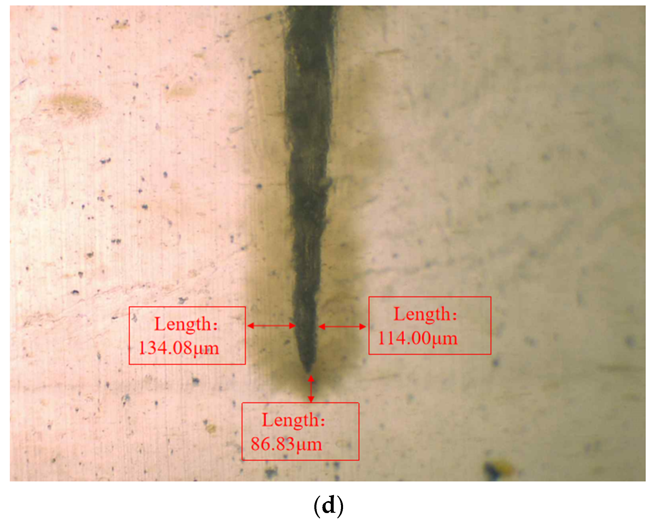Polymers 16 00155 g008b