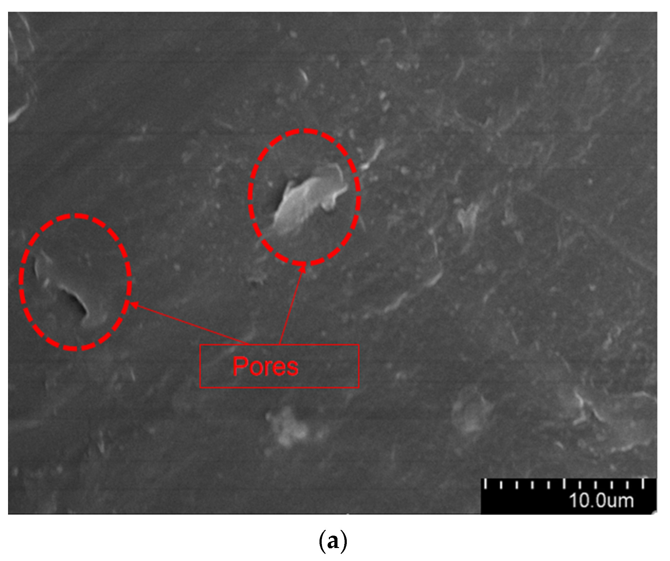 Polymers 16 00155 g009a