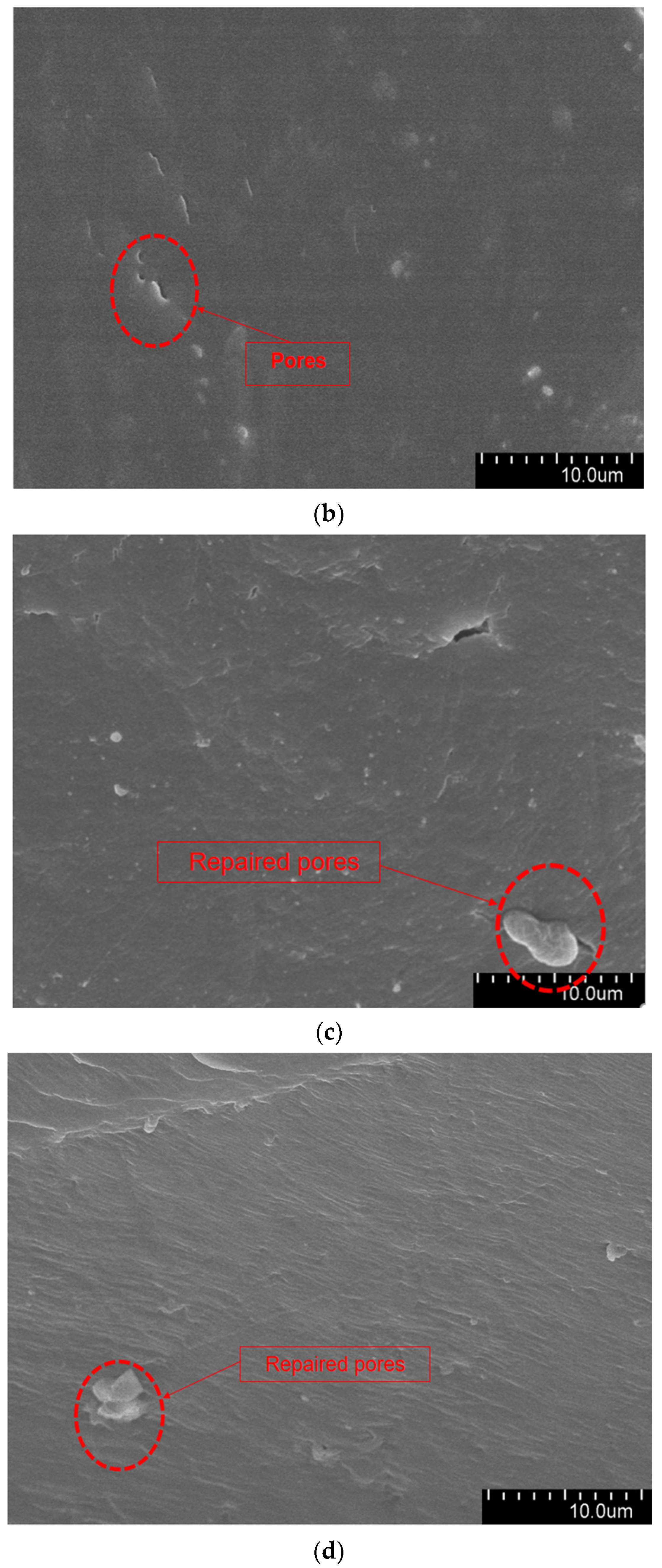 Polymers 16 00155 g009b