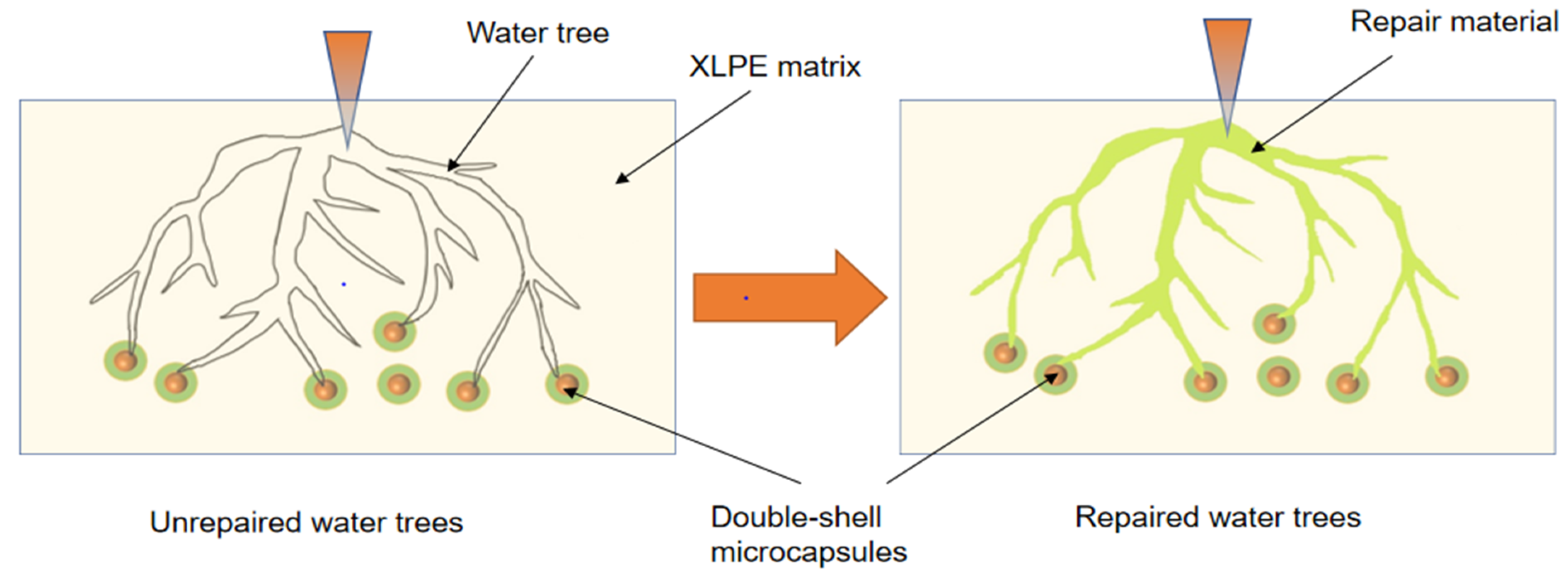 Polymers 16 00155 g010