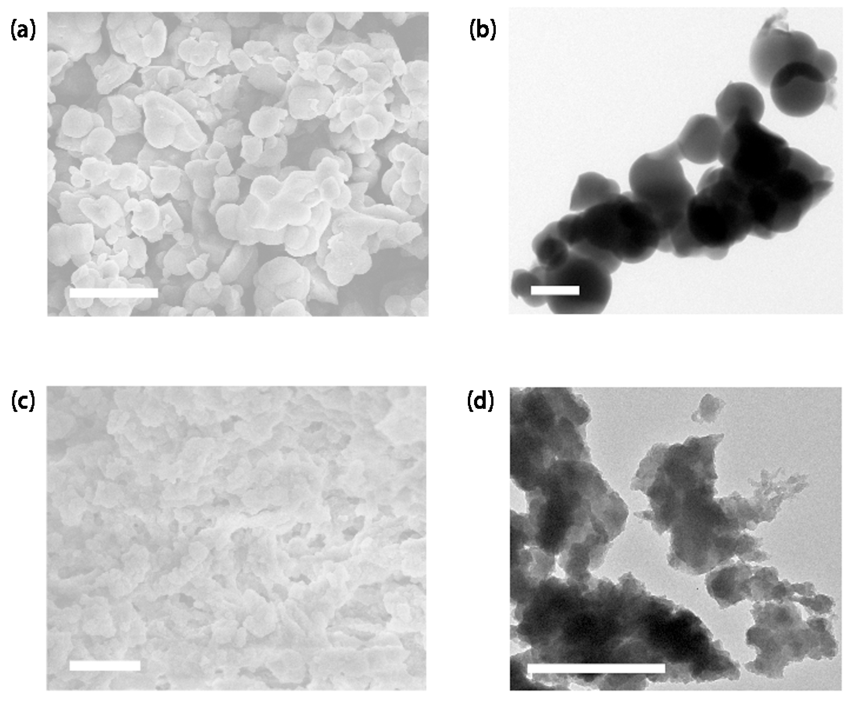 Polymers 16 00156 g002