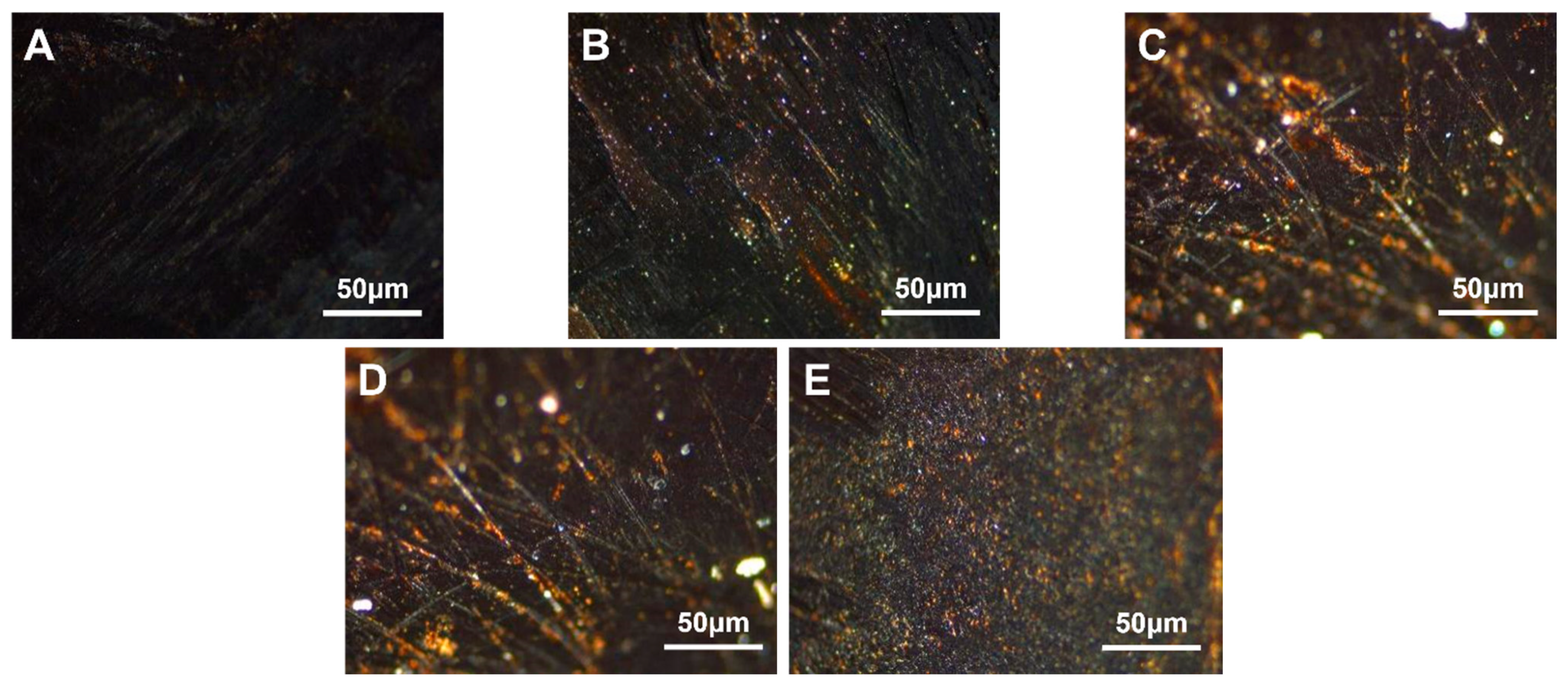 Polymers 16 00161 g007