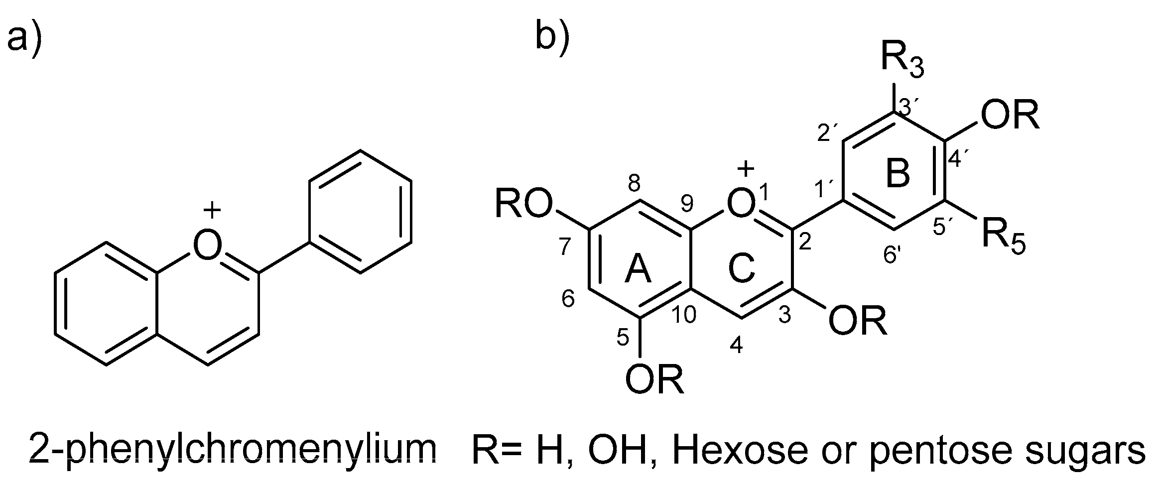 Polymers 16 00163 g001