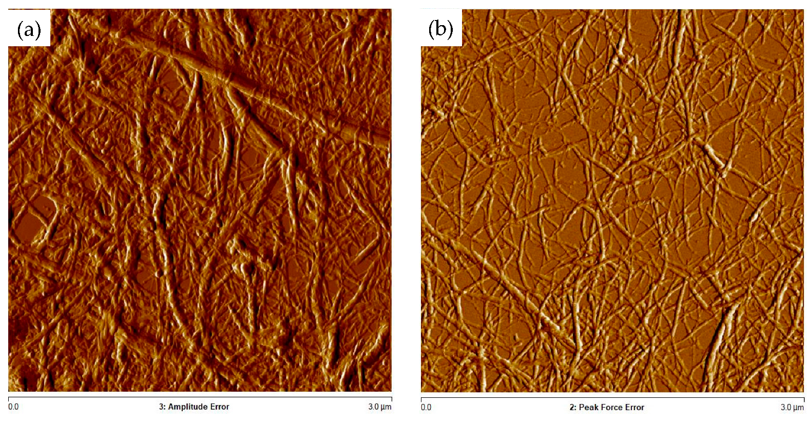 Polymers 16 00164 g005