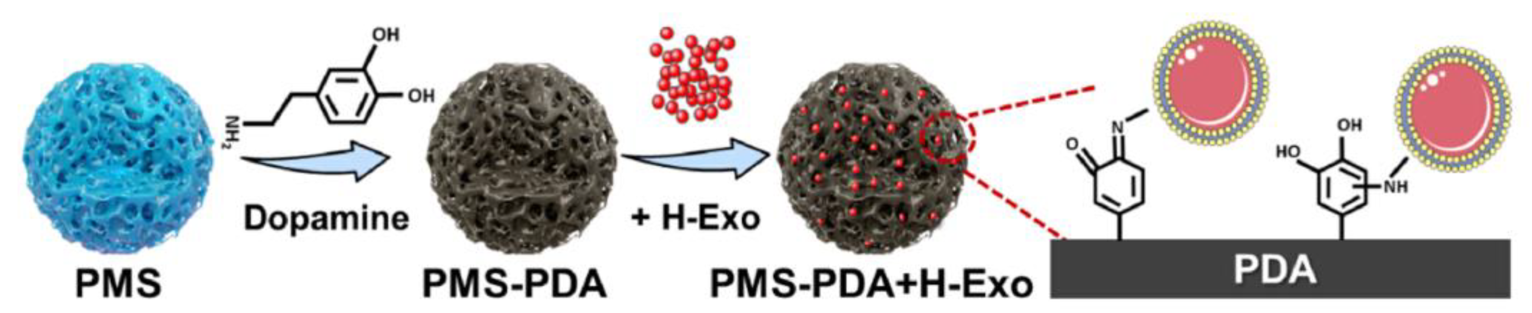Polymers 16 00165 g004