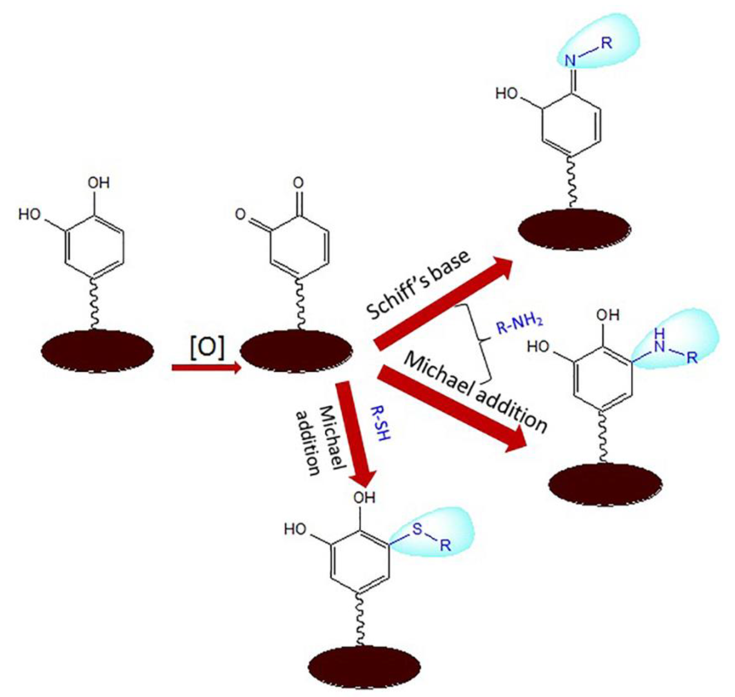 Polymers 16 00165 g005