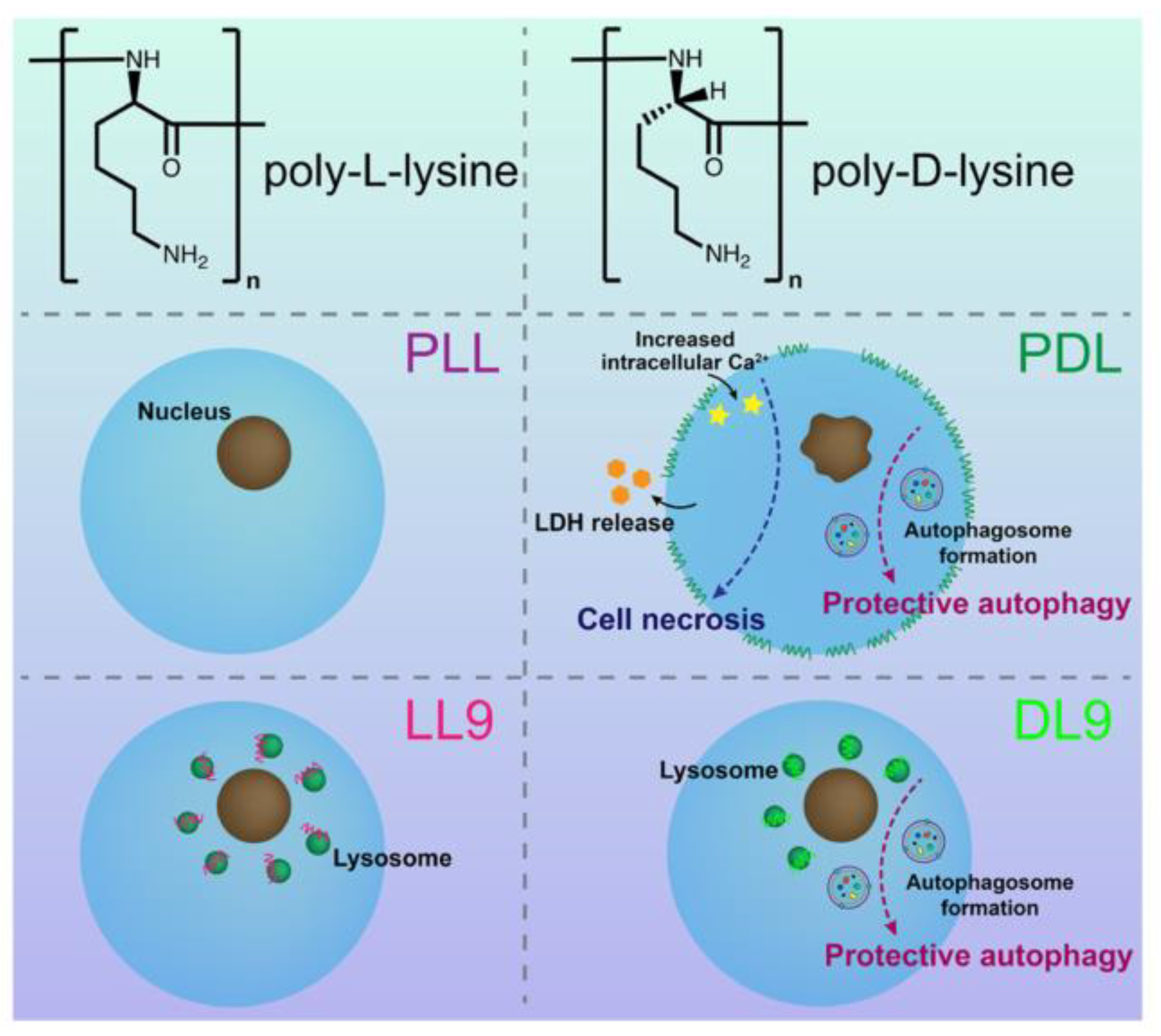 Polymers 16 00165 g006