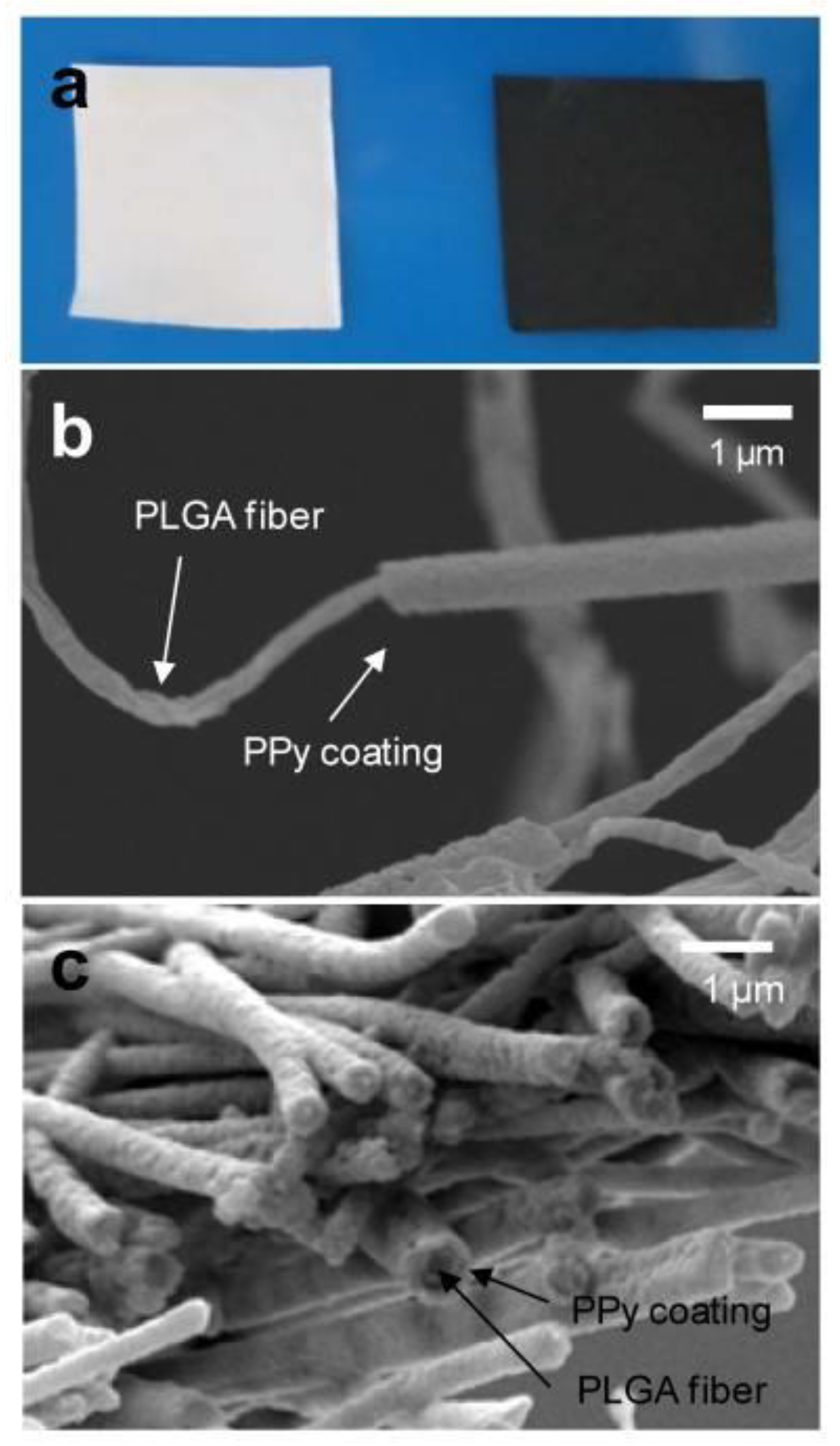 Polymers 16 00165 g007