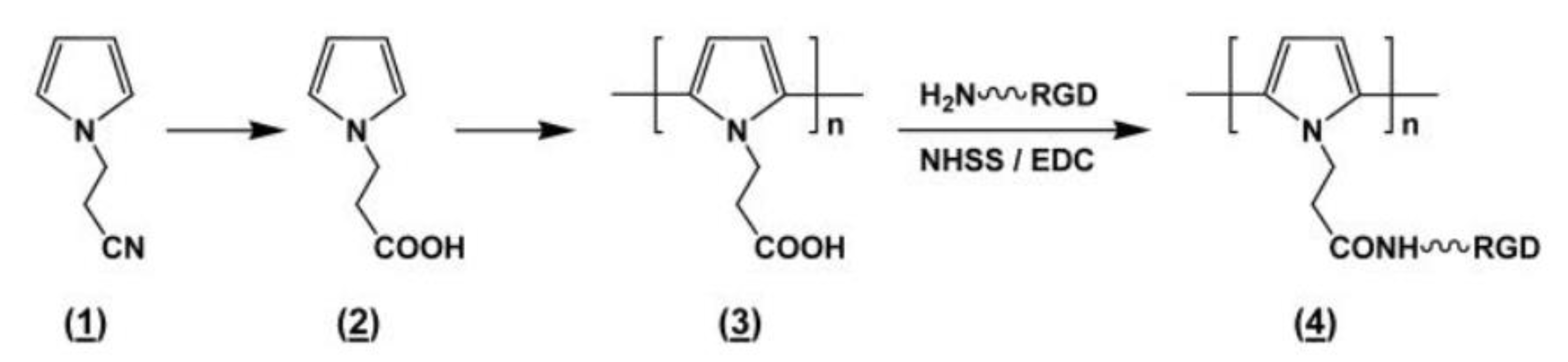 Polymers 16 00165 g008