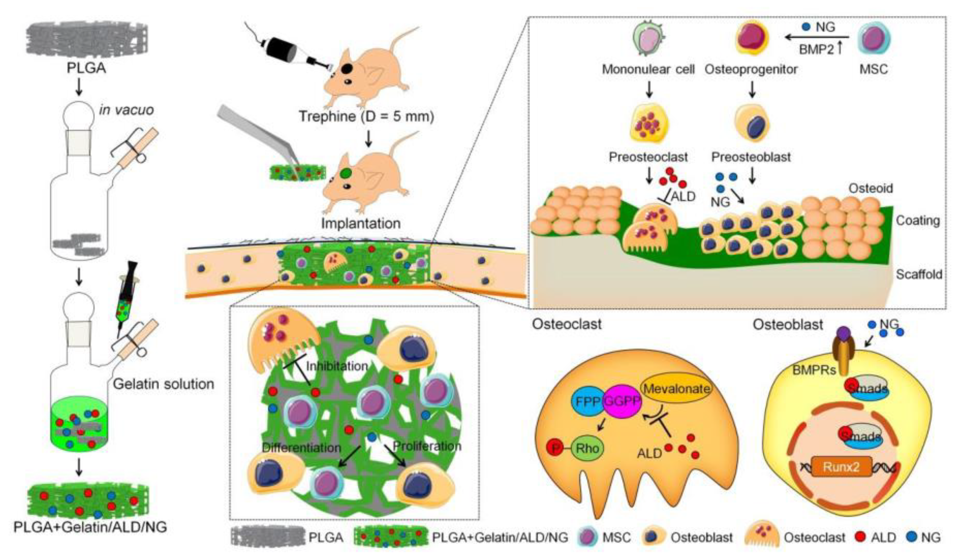 Polymers 16 00165 g010