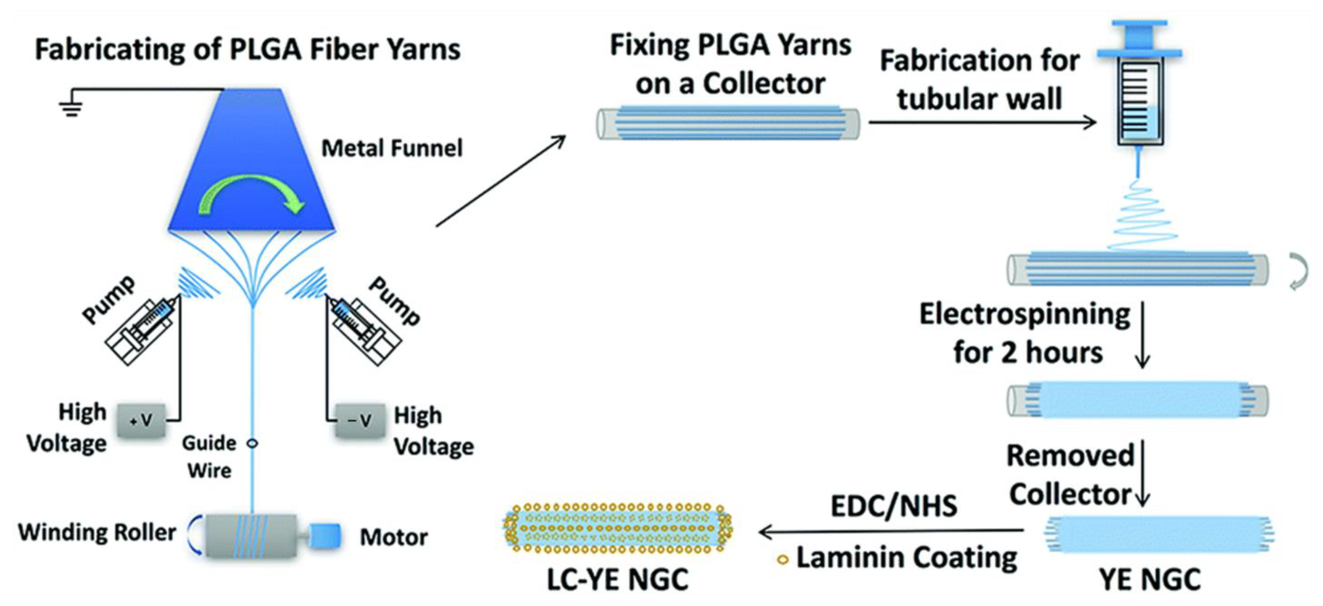 Polymers 16 00165 g012