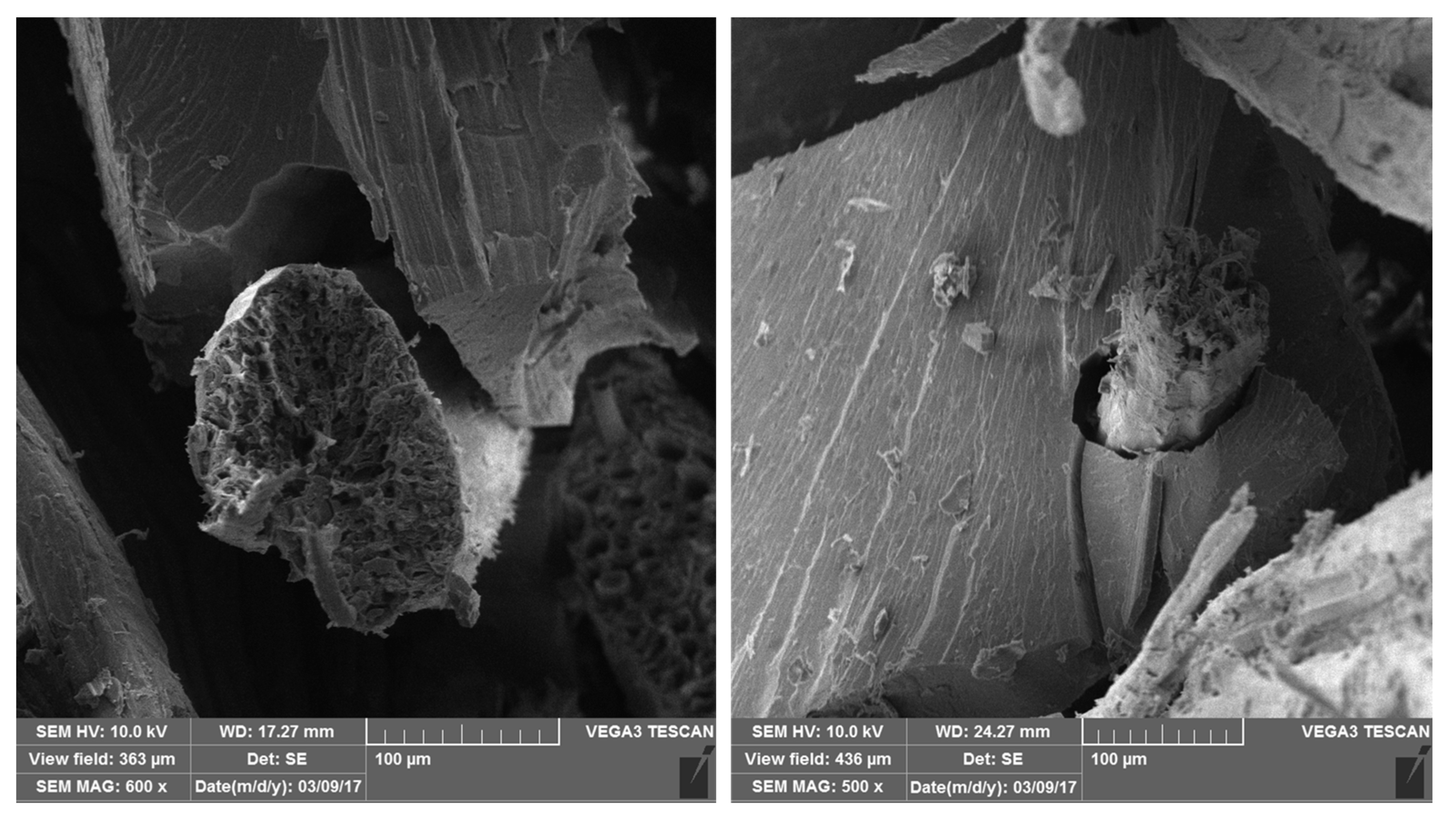 Polymers 16 00166 g007