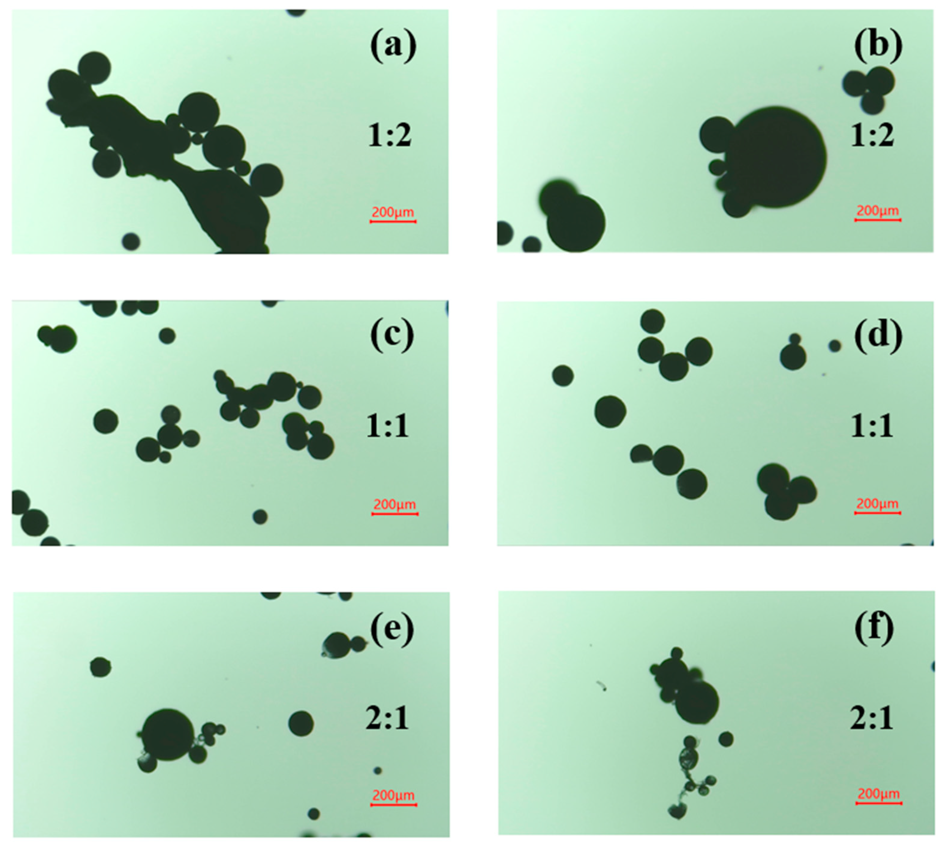Polymers 16 00169 g004
