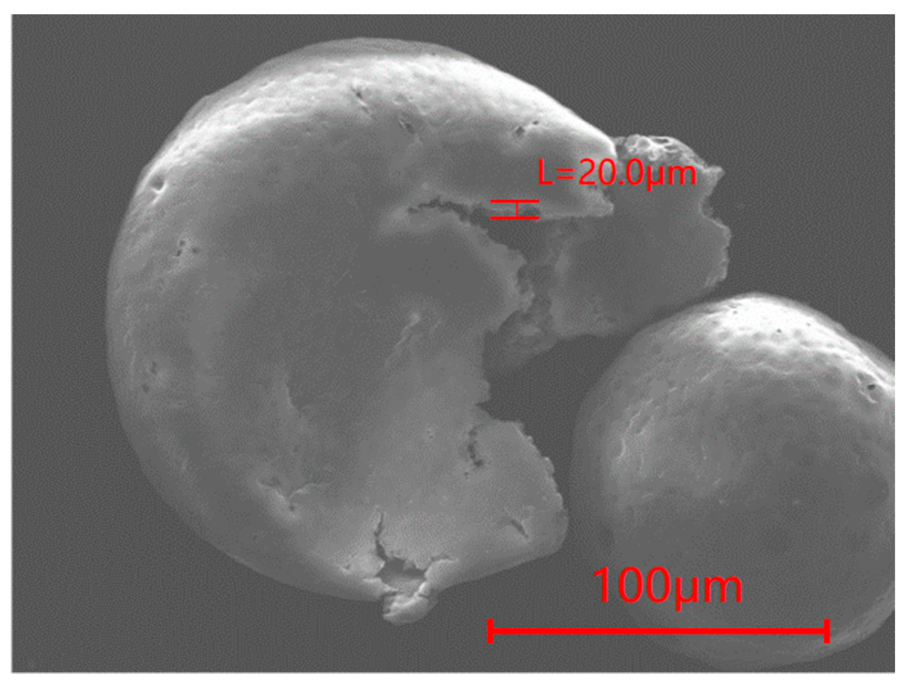 Polymers 16 00169 g007