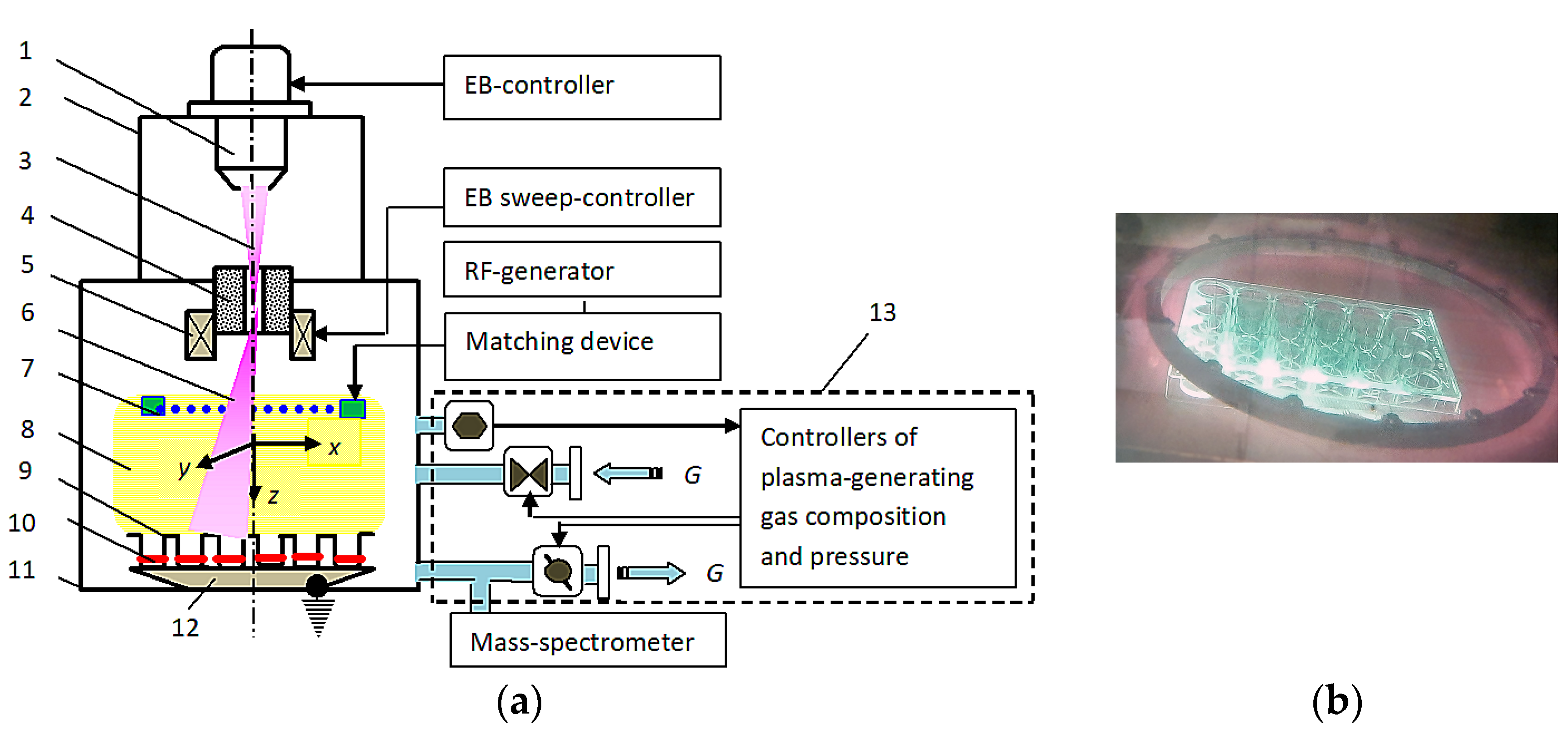 Polymers 16 00172 g001