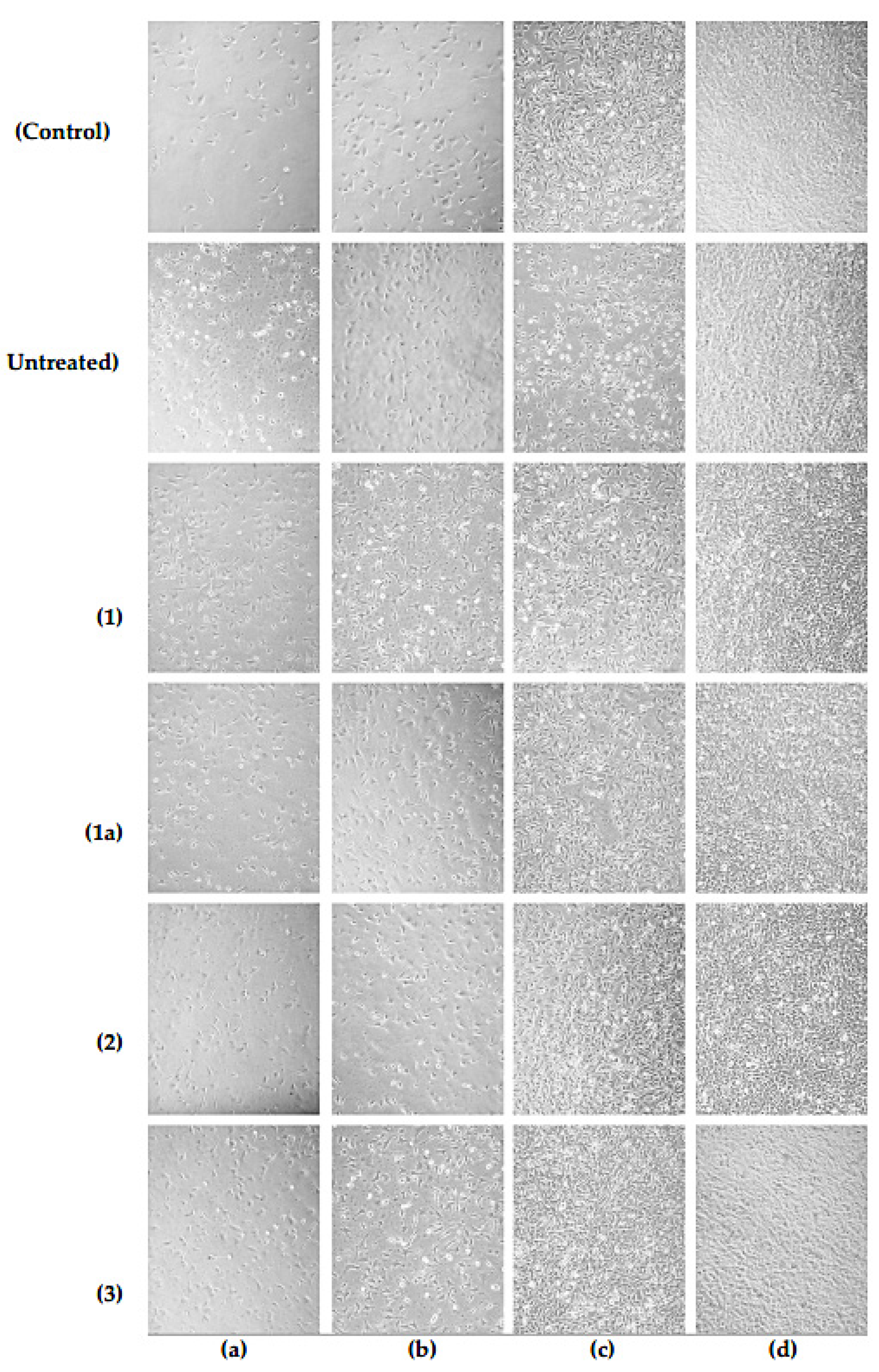 Polymers 16 00172 g007