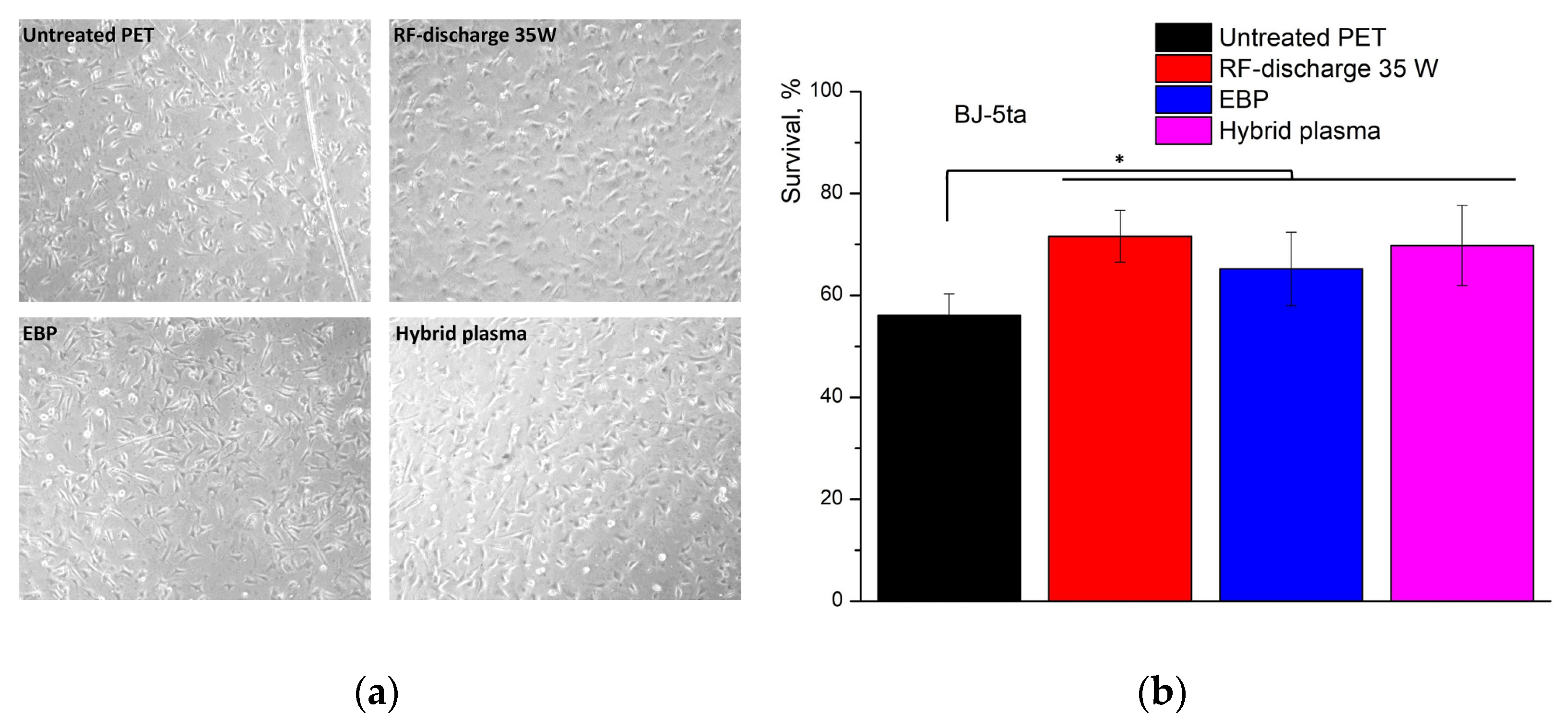 Polymers 16 00172 g009