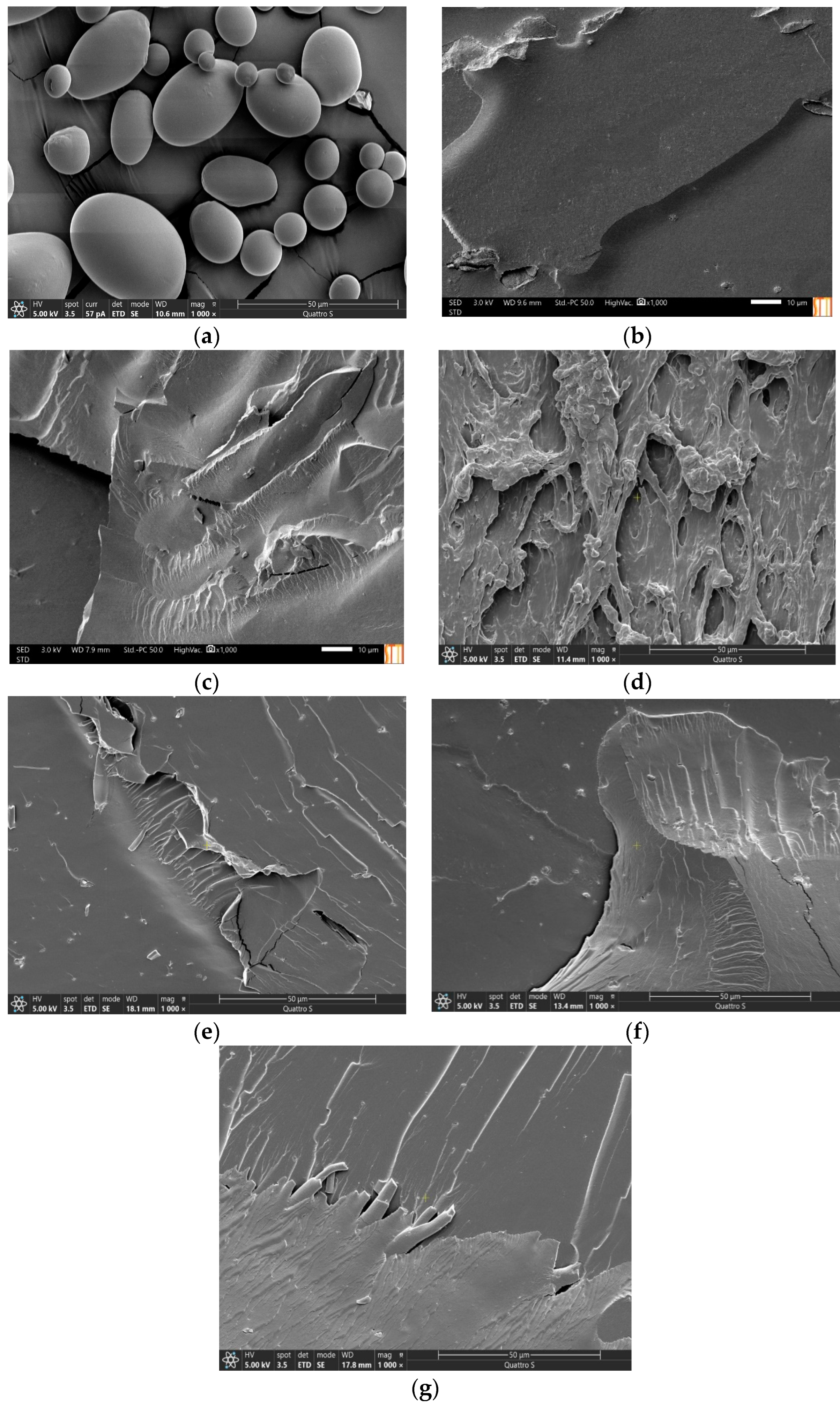 Polymers 16 00180 g007