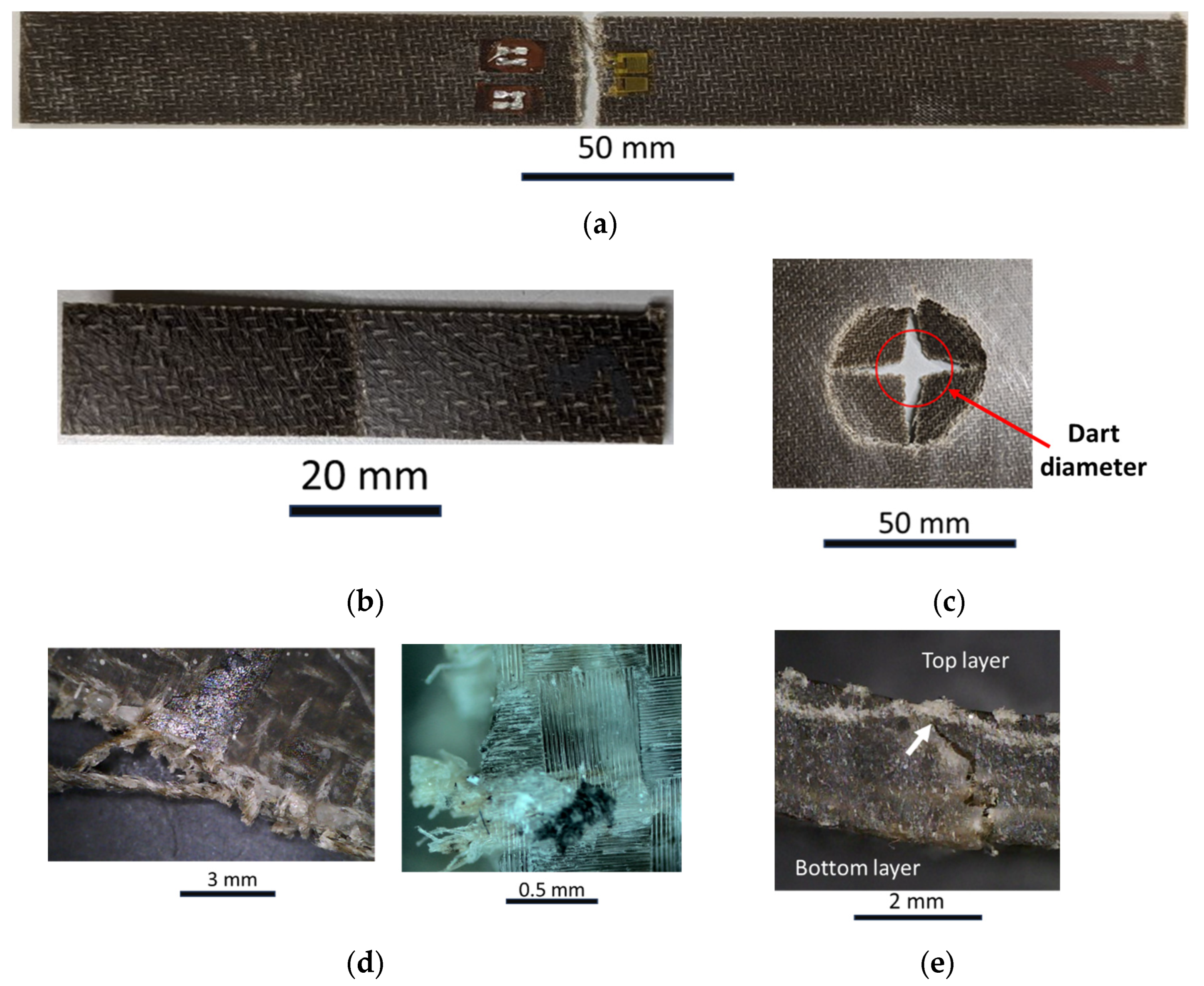 Polymers 16 00190 g010