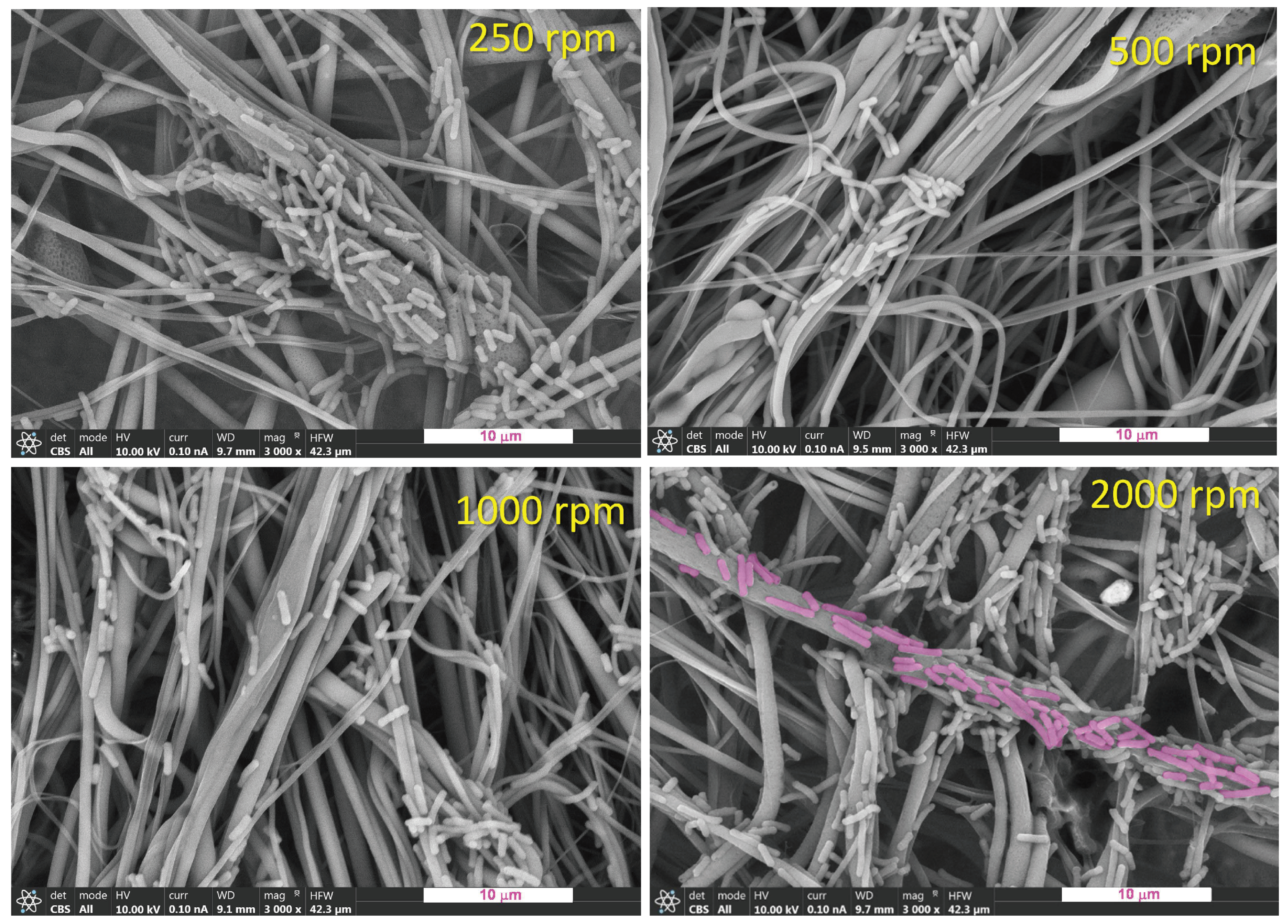 Polymers 16 00191 g014 Polymers 16 00191 g014