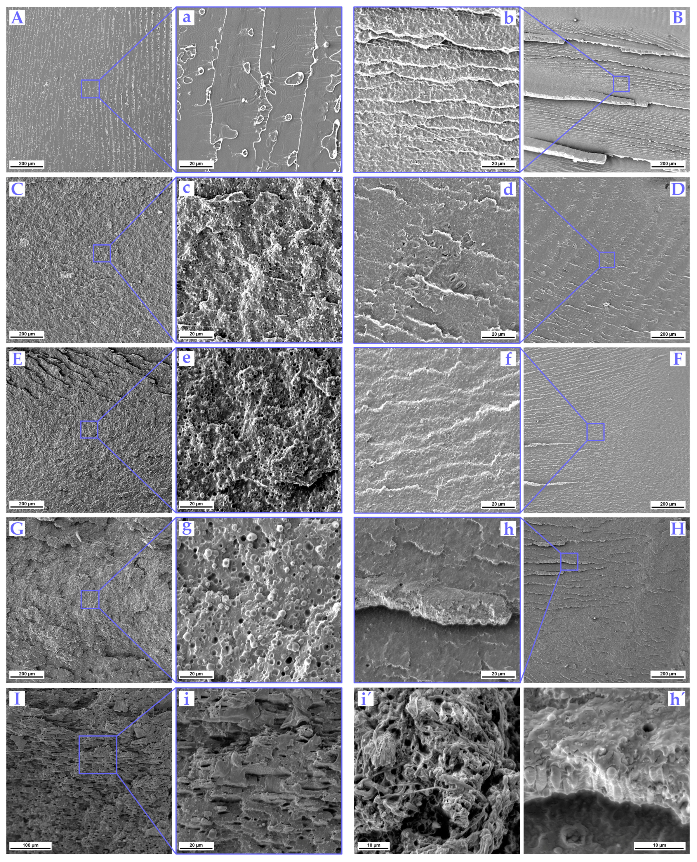Polymers 16 00192 g005