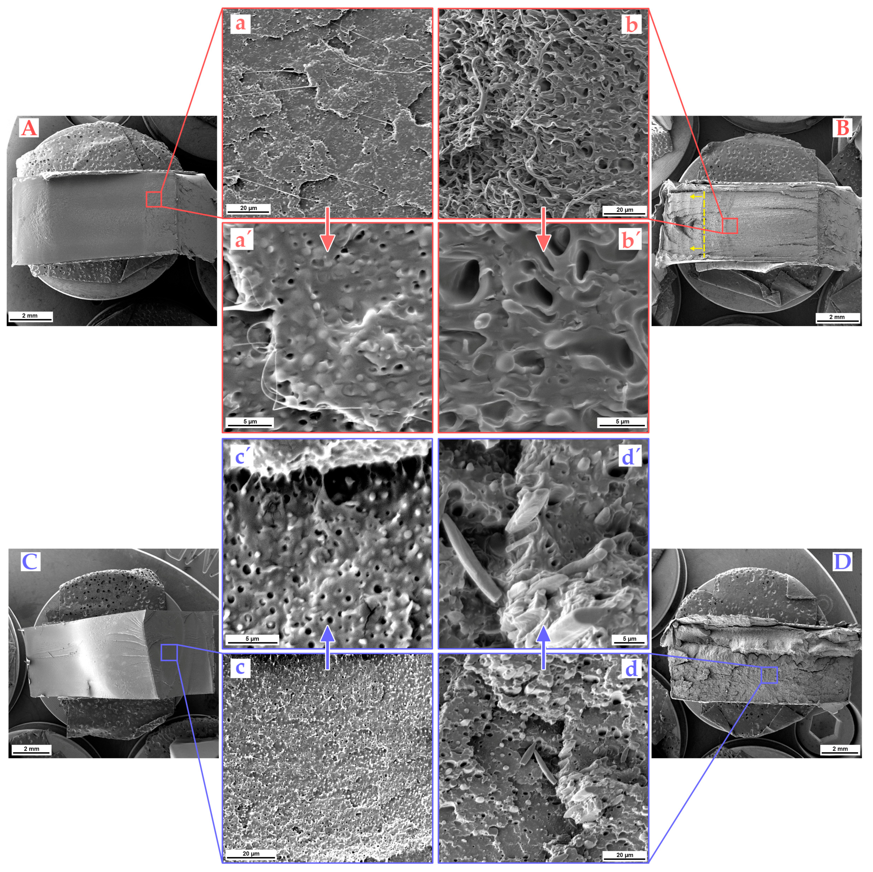 Polymers 16 00192 g006