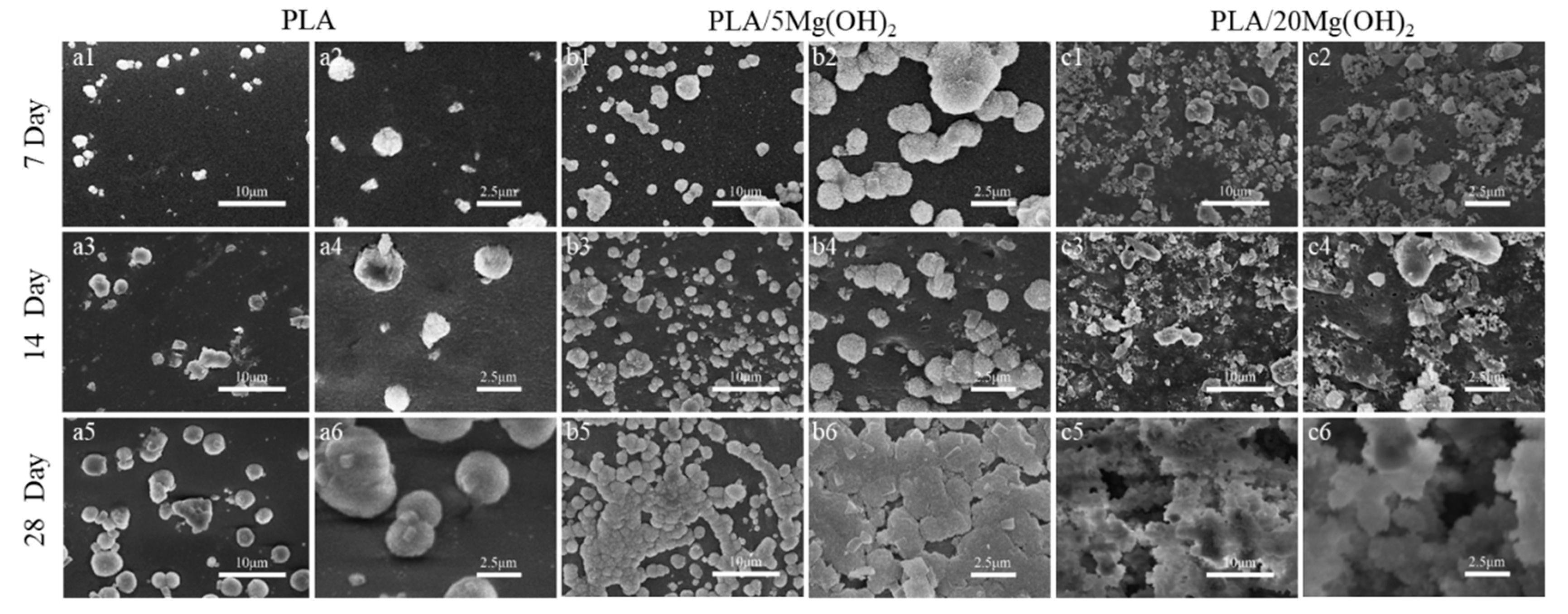 Polymers 16 00198 g008