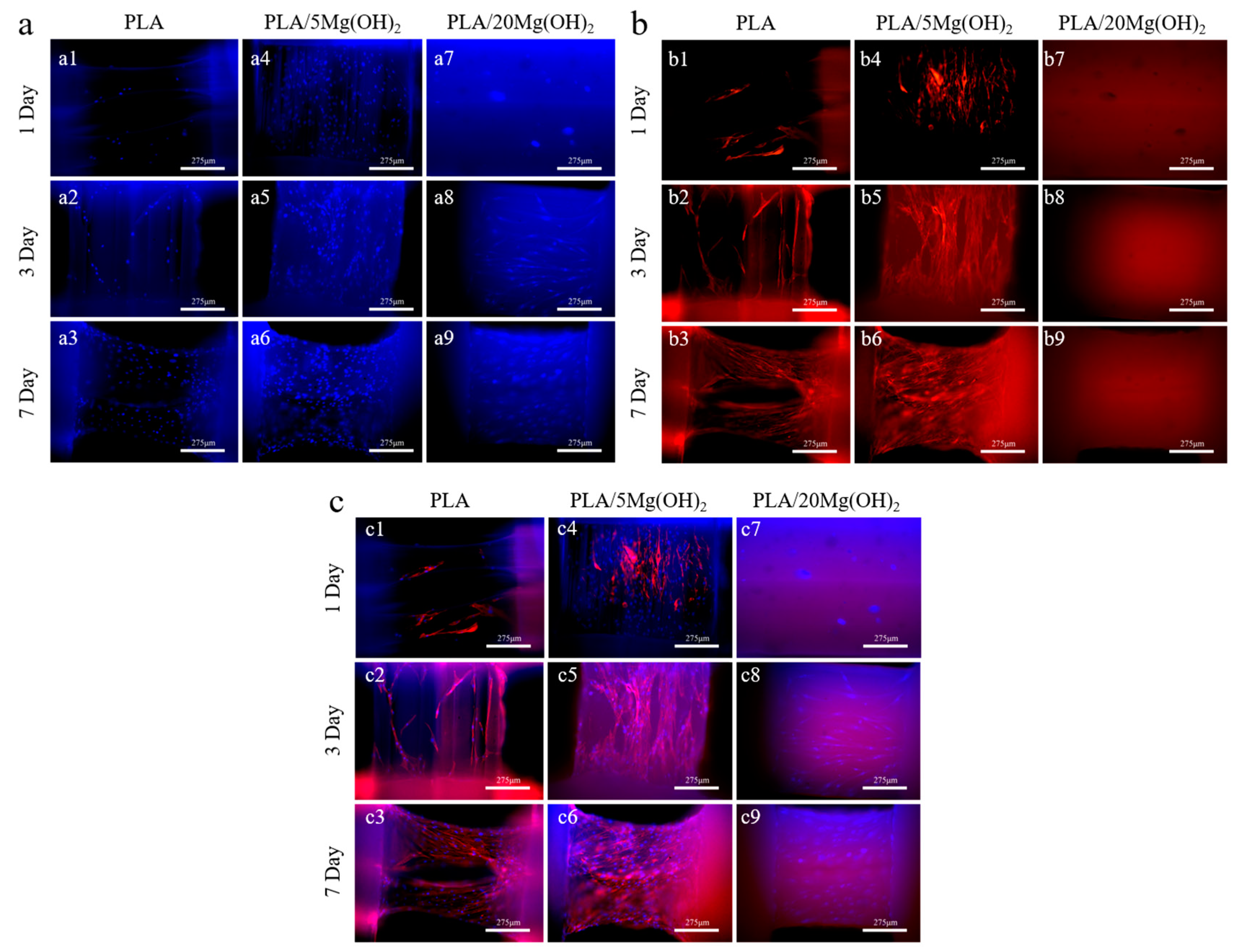 Polymers 16 00198 g010