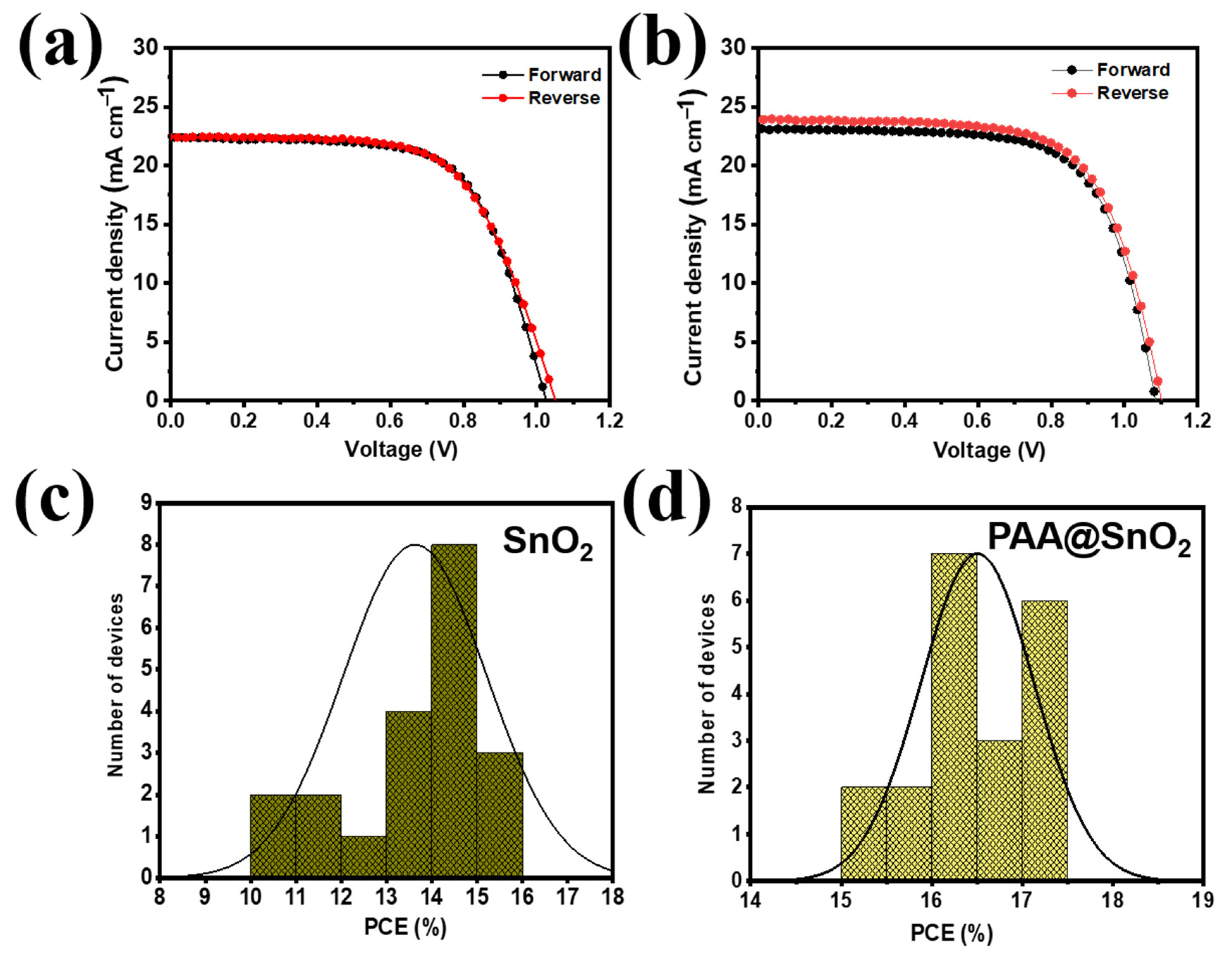 Polymers 16 00199 g010