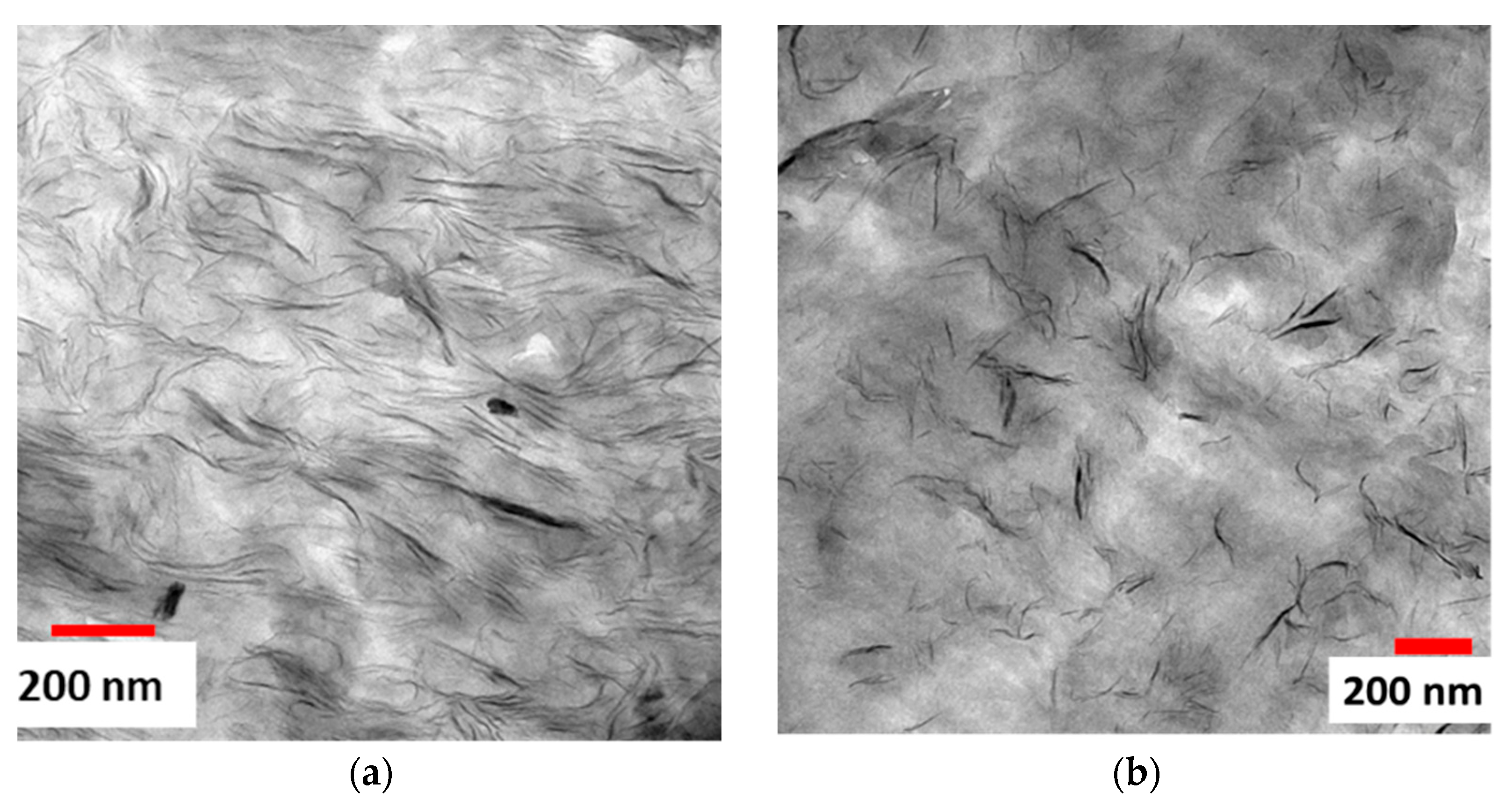 Polymers 16 00200 g007