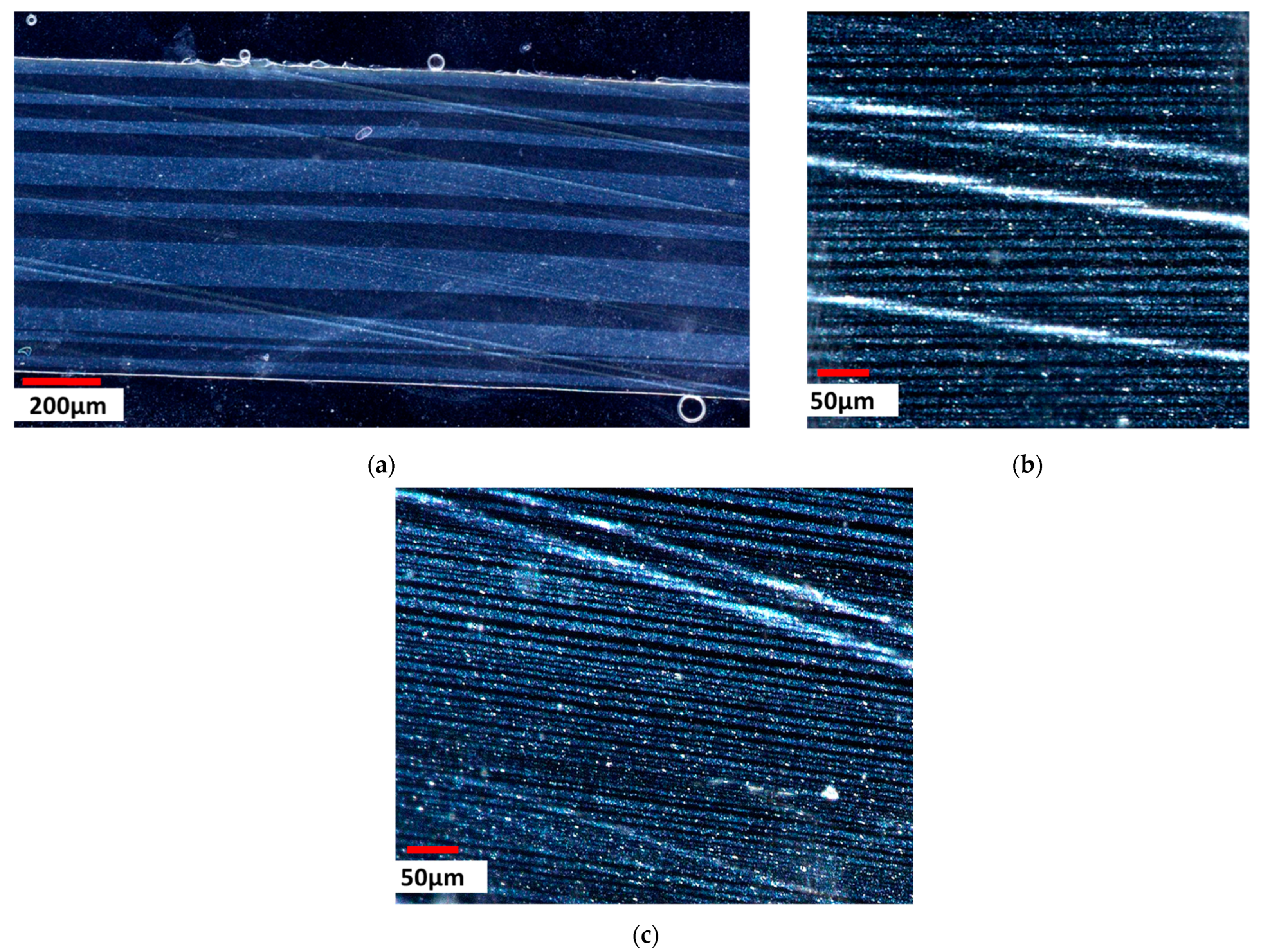 Polymers 16 00200 g012