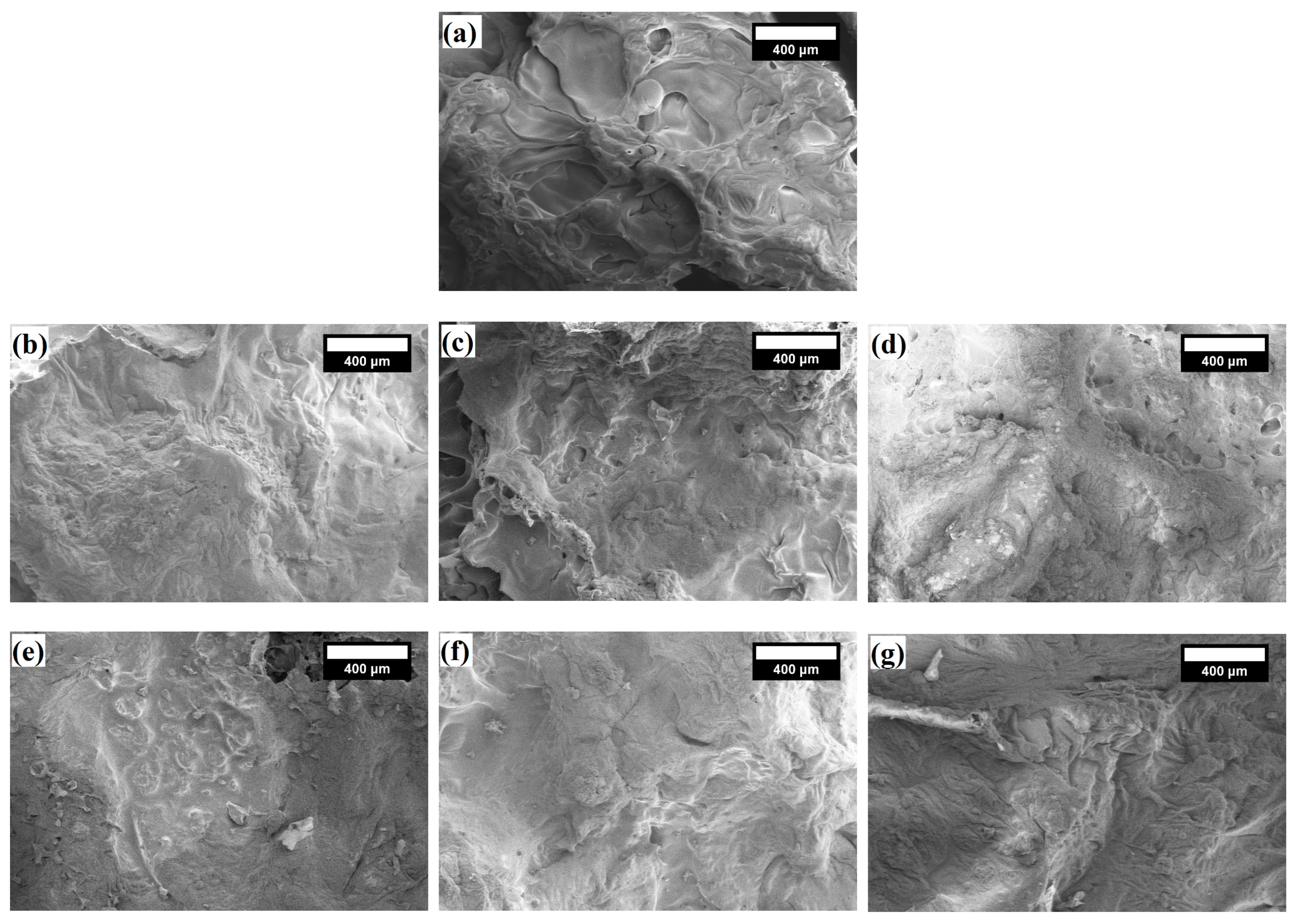 Polymers 16 00205 g007 Polymers 16 00205 g007