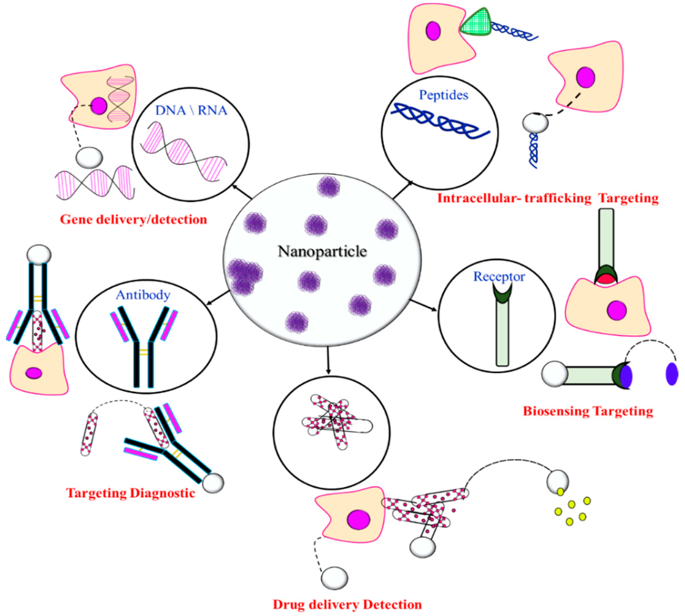 Polymers 16 00206 g010