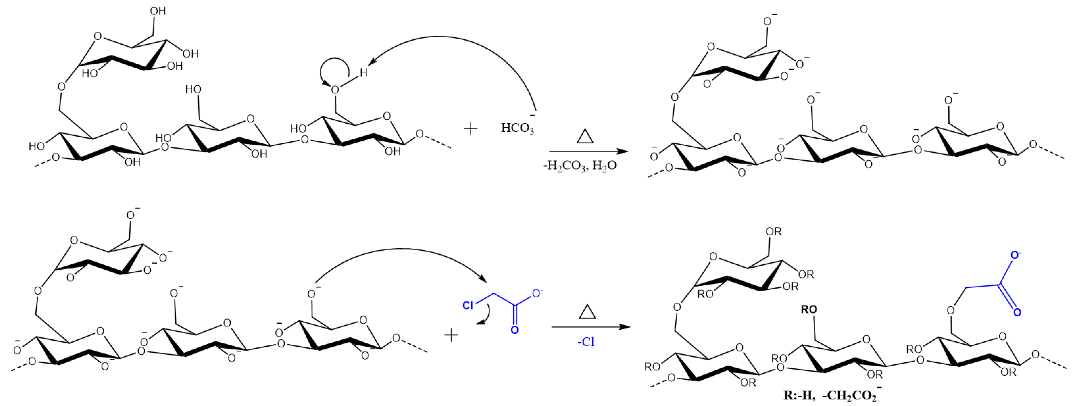 Polymers 16 00207 g001