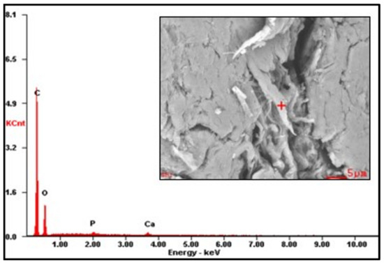 Polymers 16 00207 g0a1