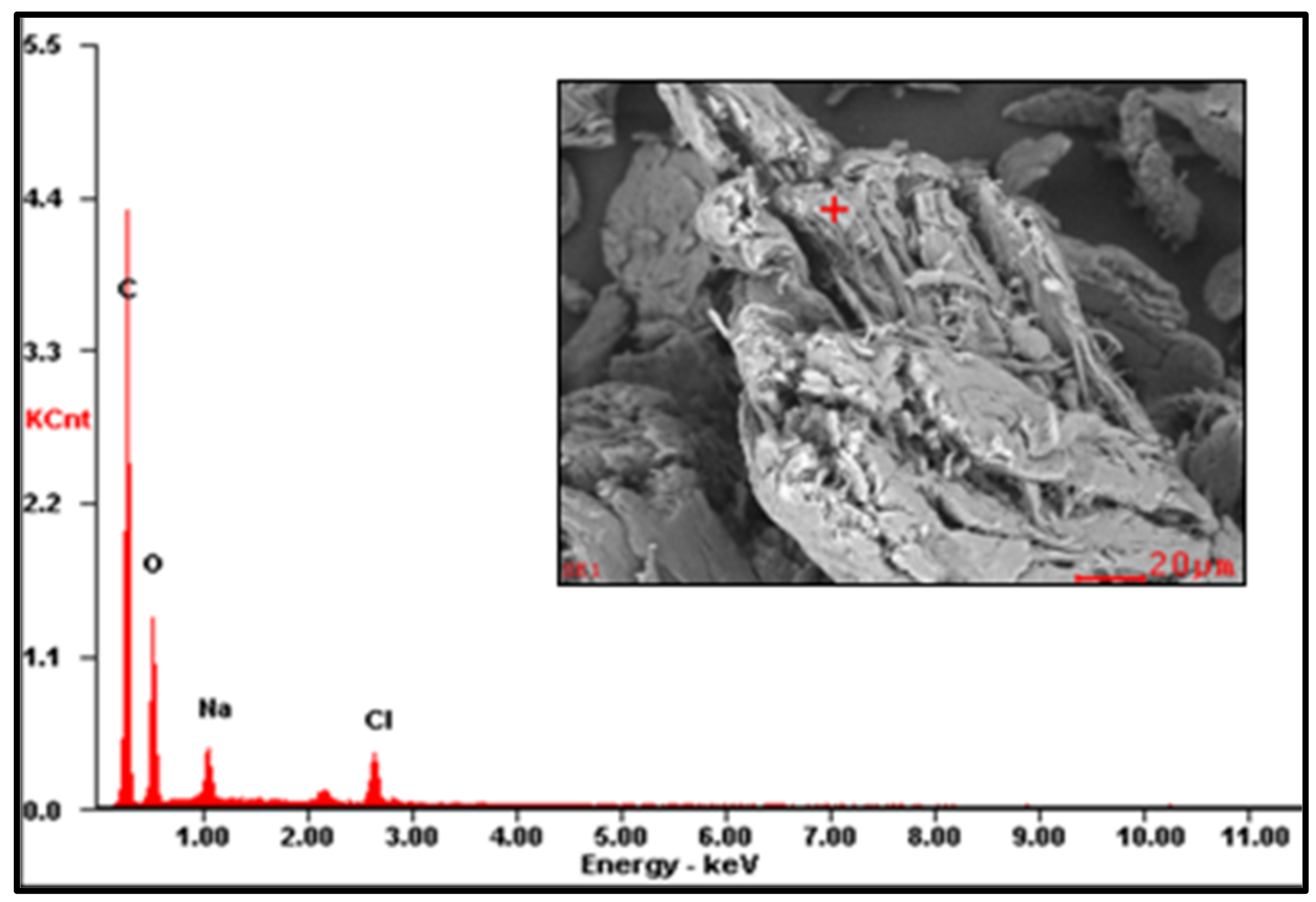 Polymers 16 00207 g0a2