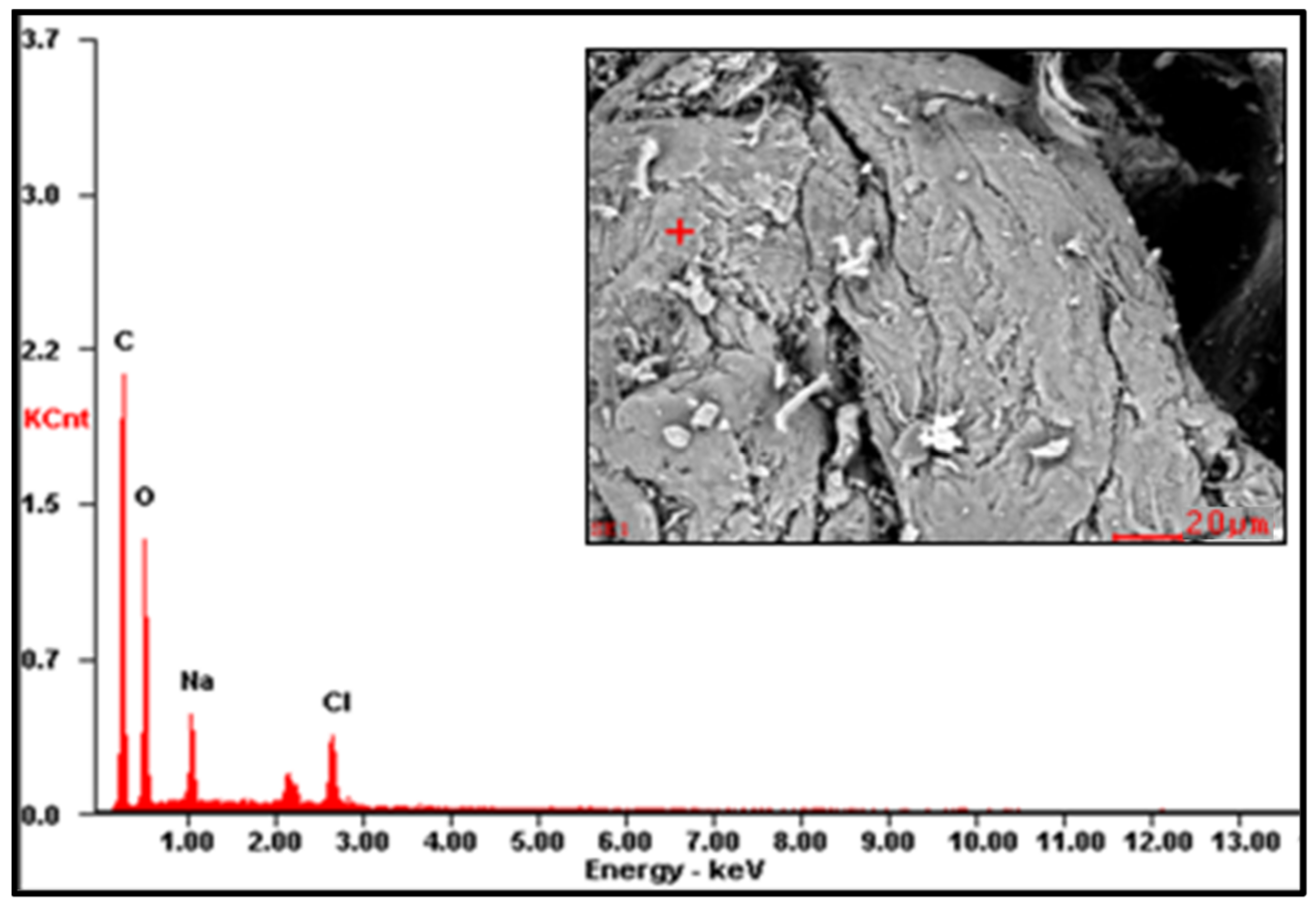 Polymers 16 00207 g0a3