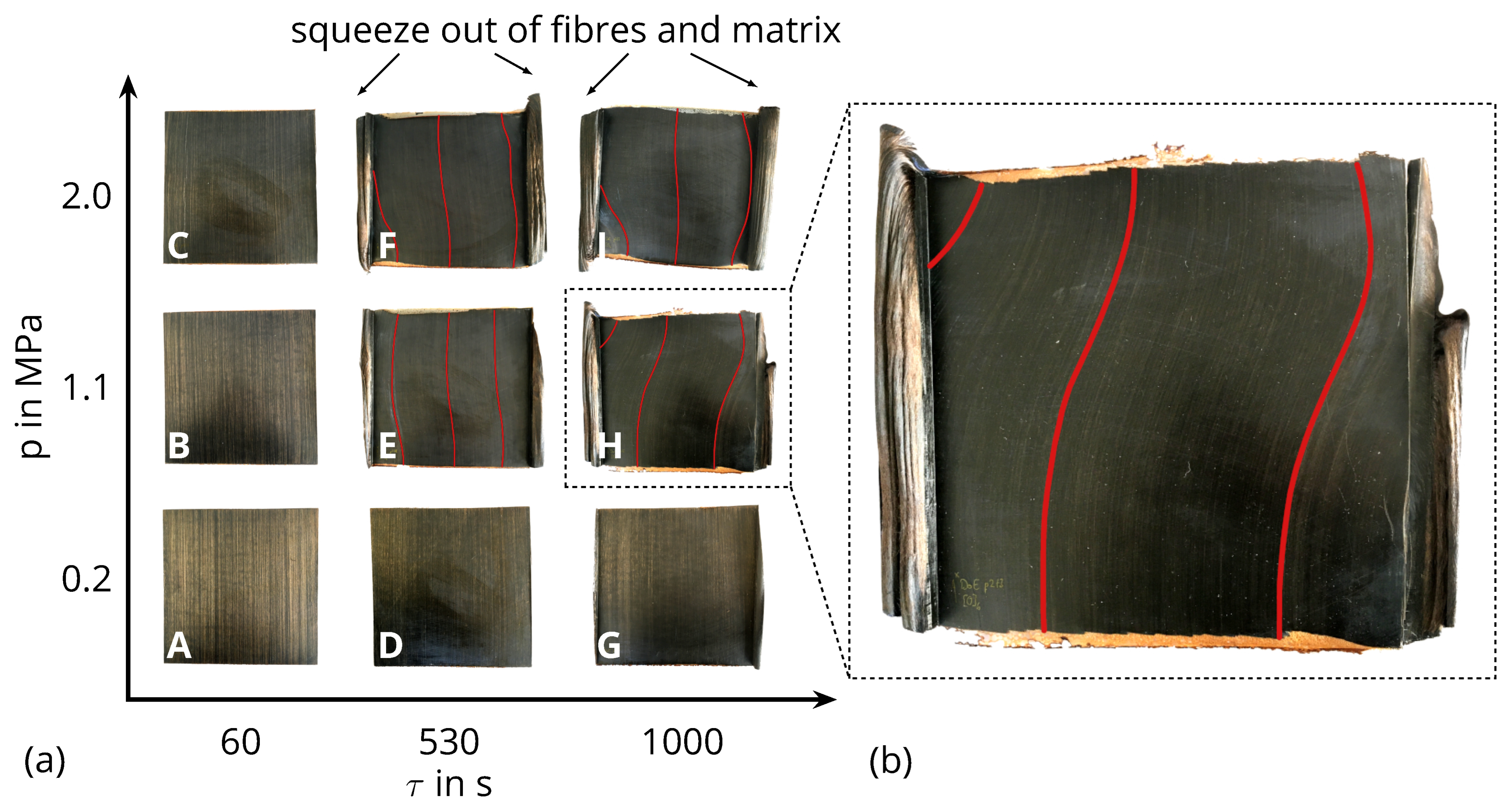Polymers 16 00221 g003
