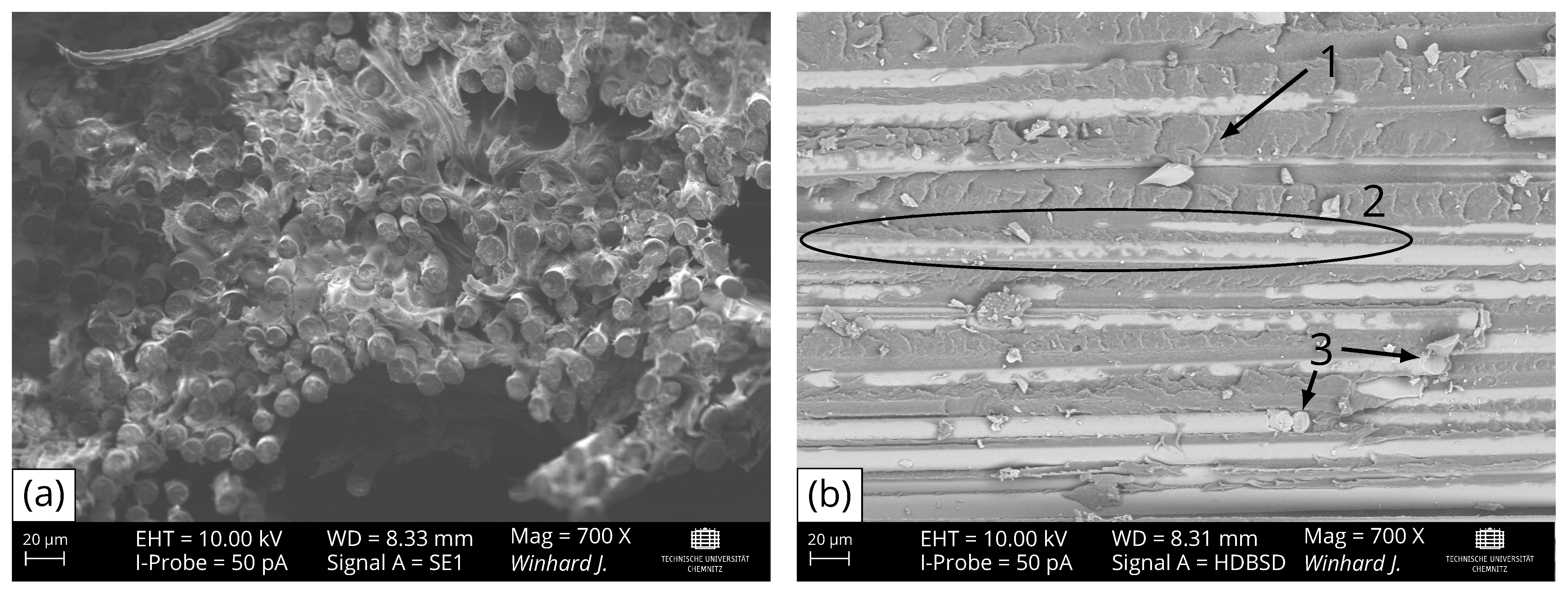 Polymers 16 00221 g006