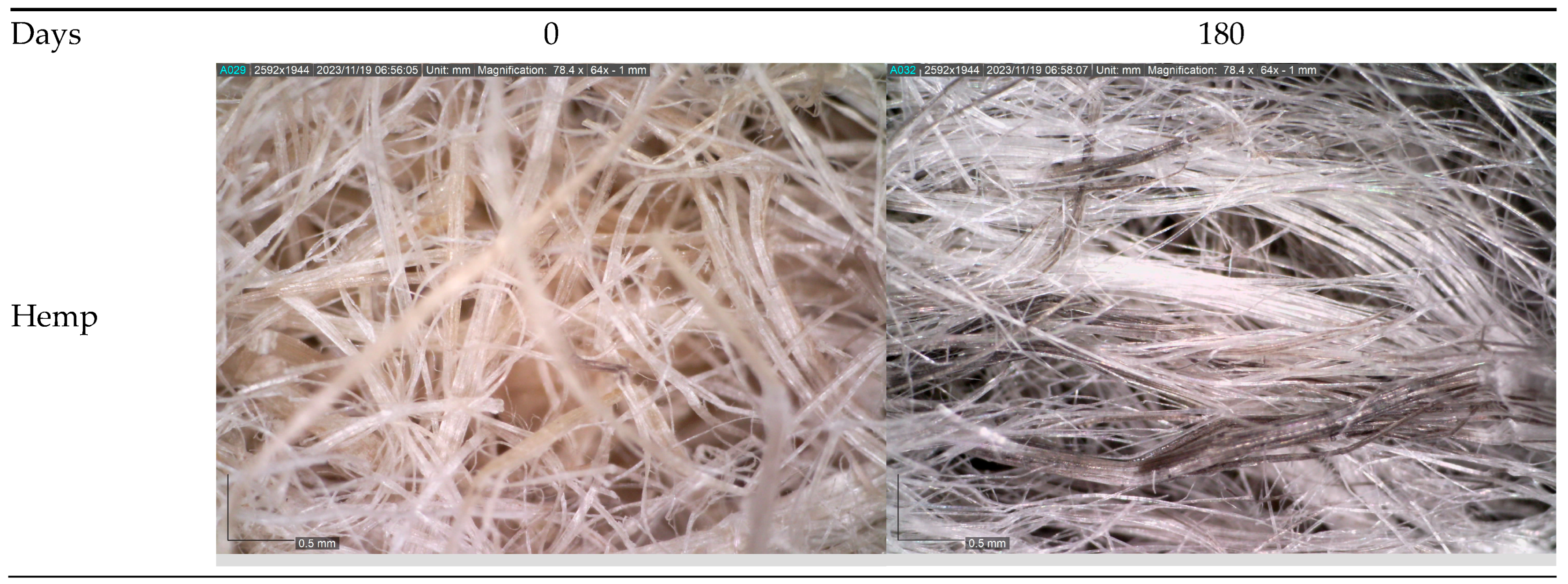 Polymers 16 00222 g004a